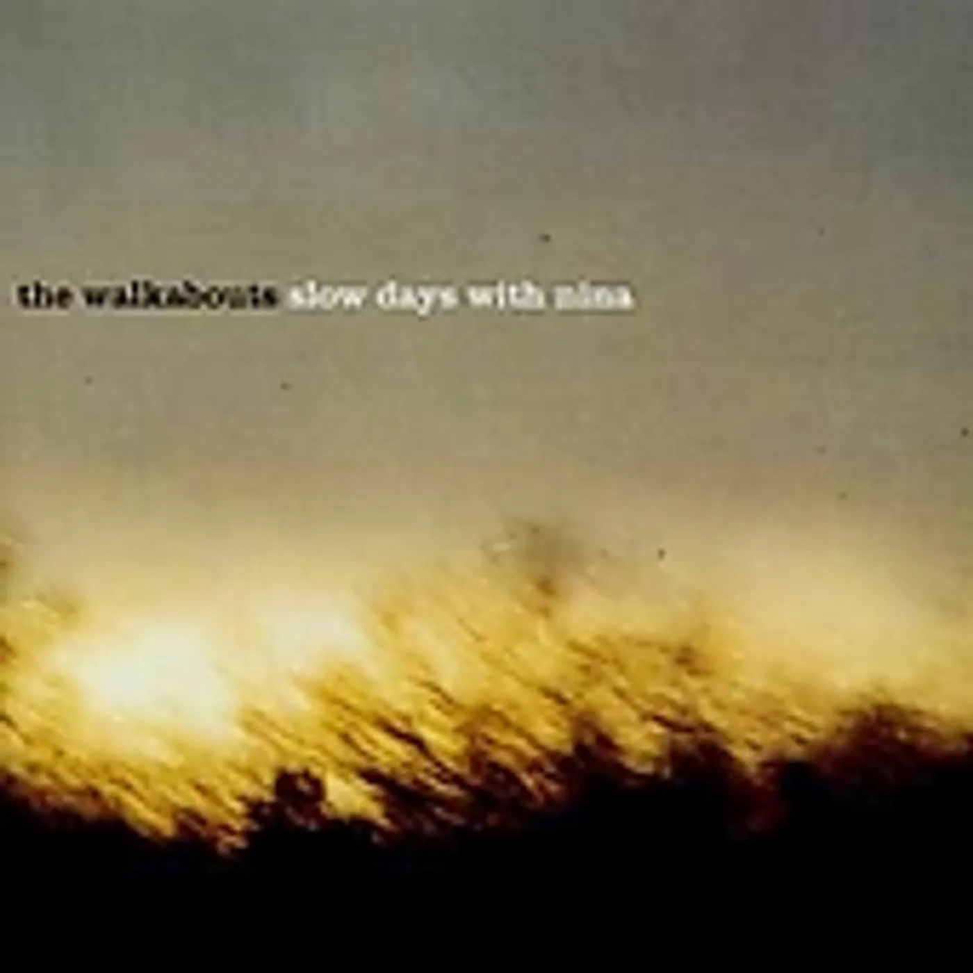The Walkabouts SLOW DAYS WITH NINA CD