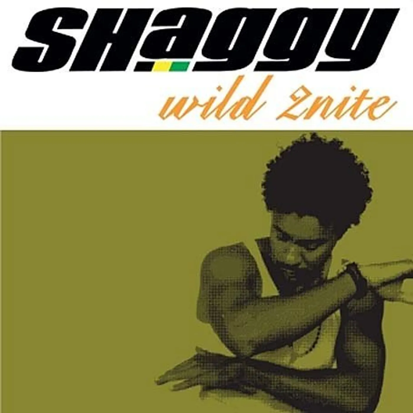 Shaggy WILD 2NITE Vinyl Record