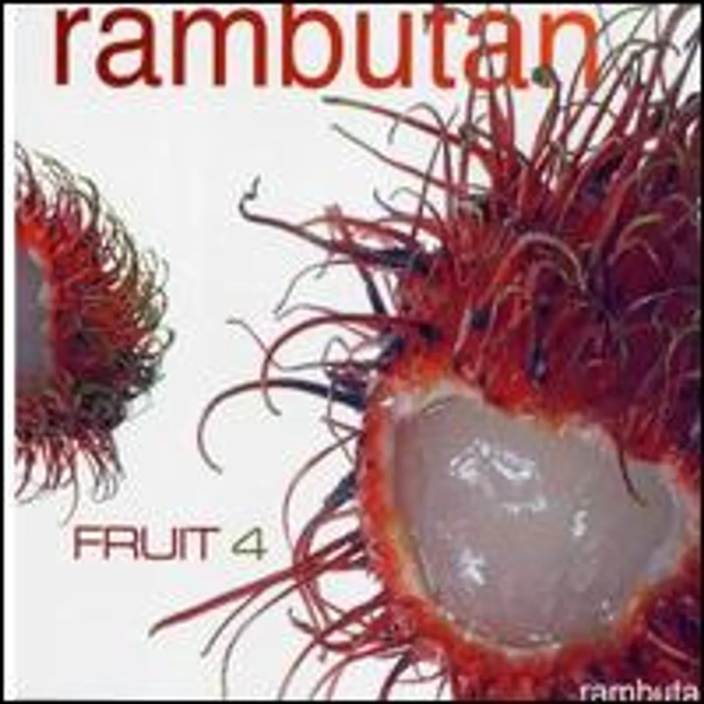 VOL. 4-RAMBUTAN FRUIT Vinyl Record