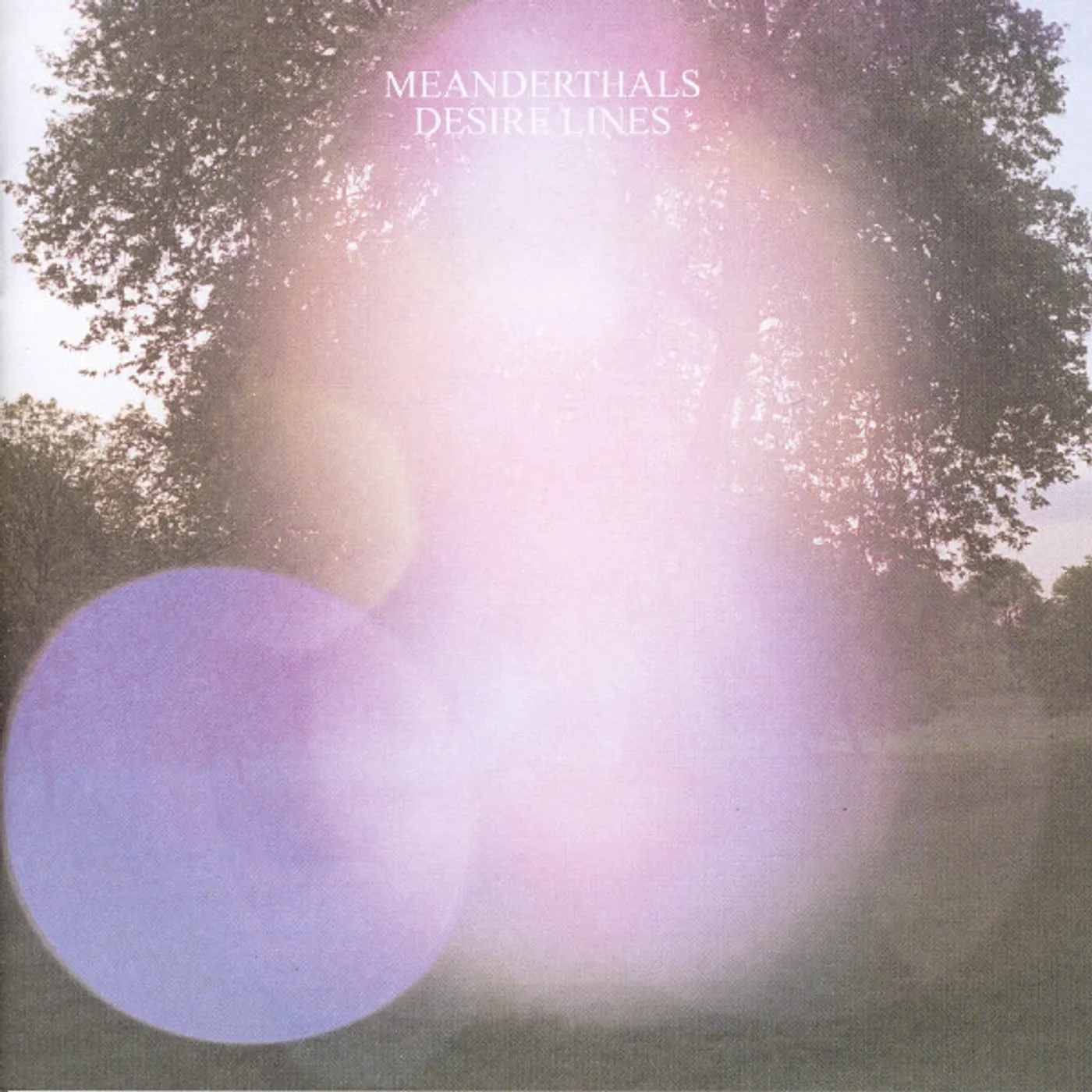 Meanderthals Desire Lines Vinyl Record