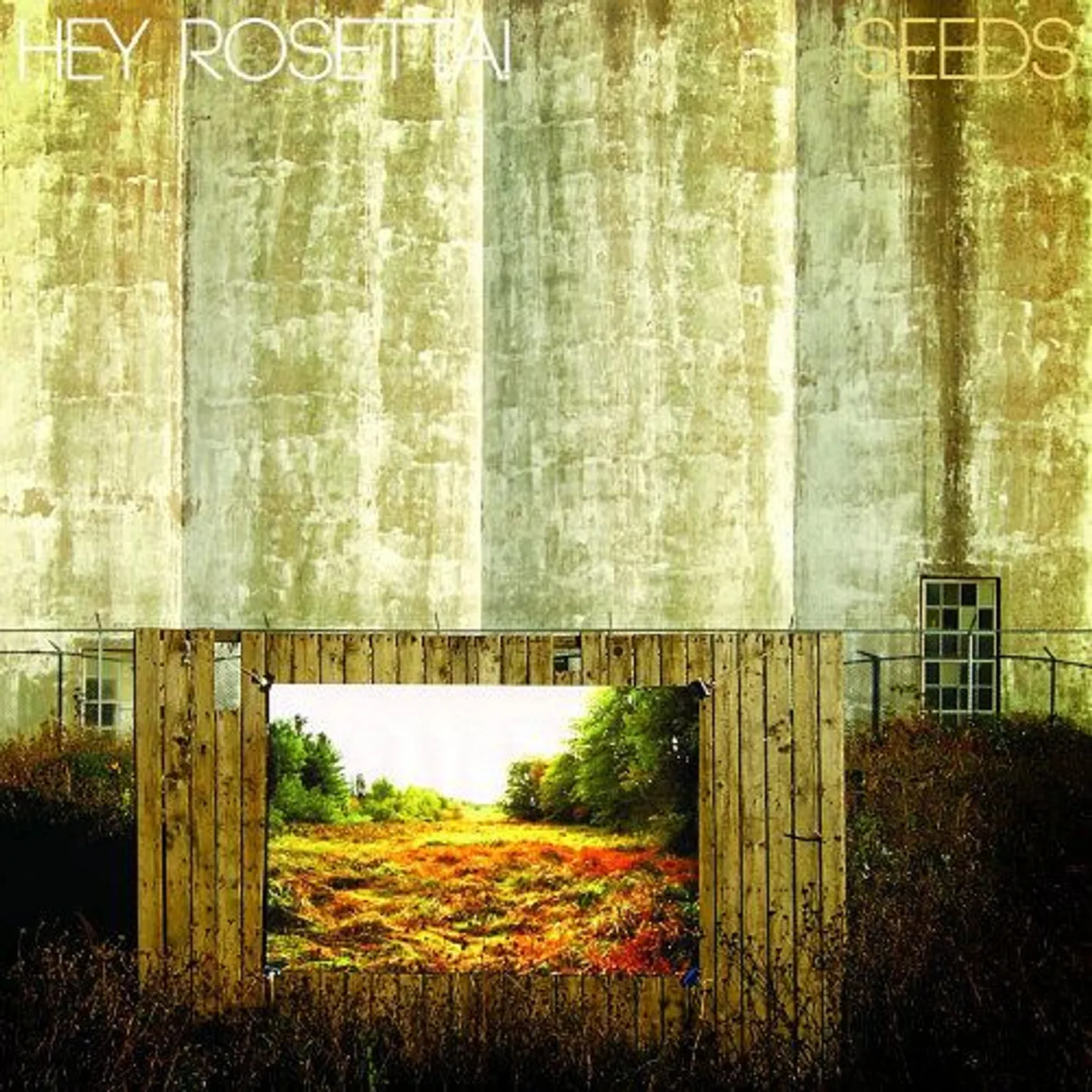 Hey Rosetta! SEEDS CD