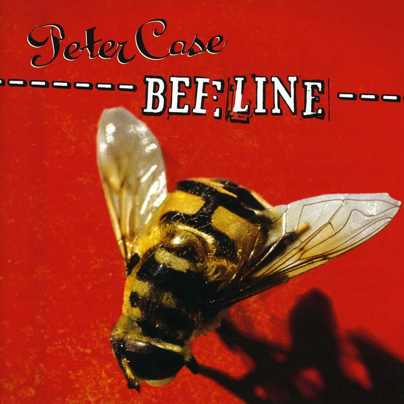 Peter Case BEE LINE CD