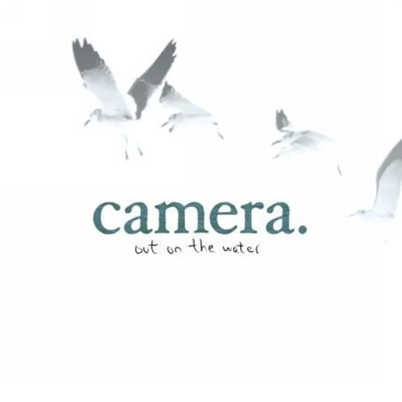 Camera Out On The Water Vinyl Record