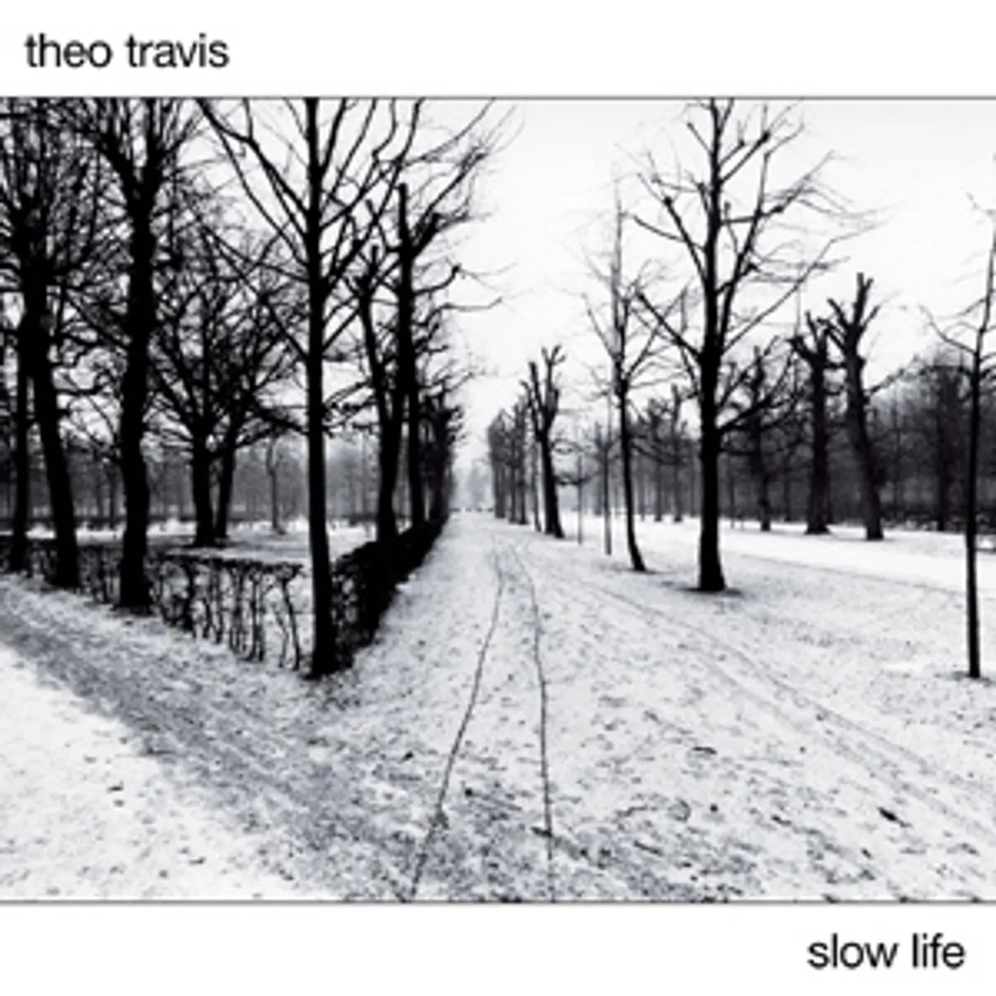 Theo Travis Slow Life Vinyl Record