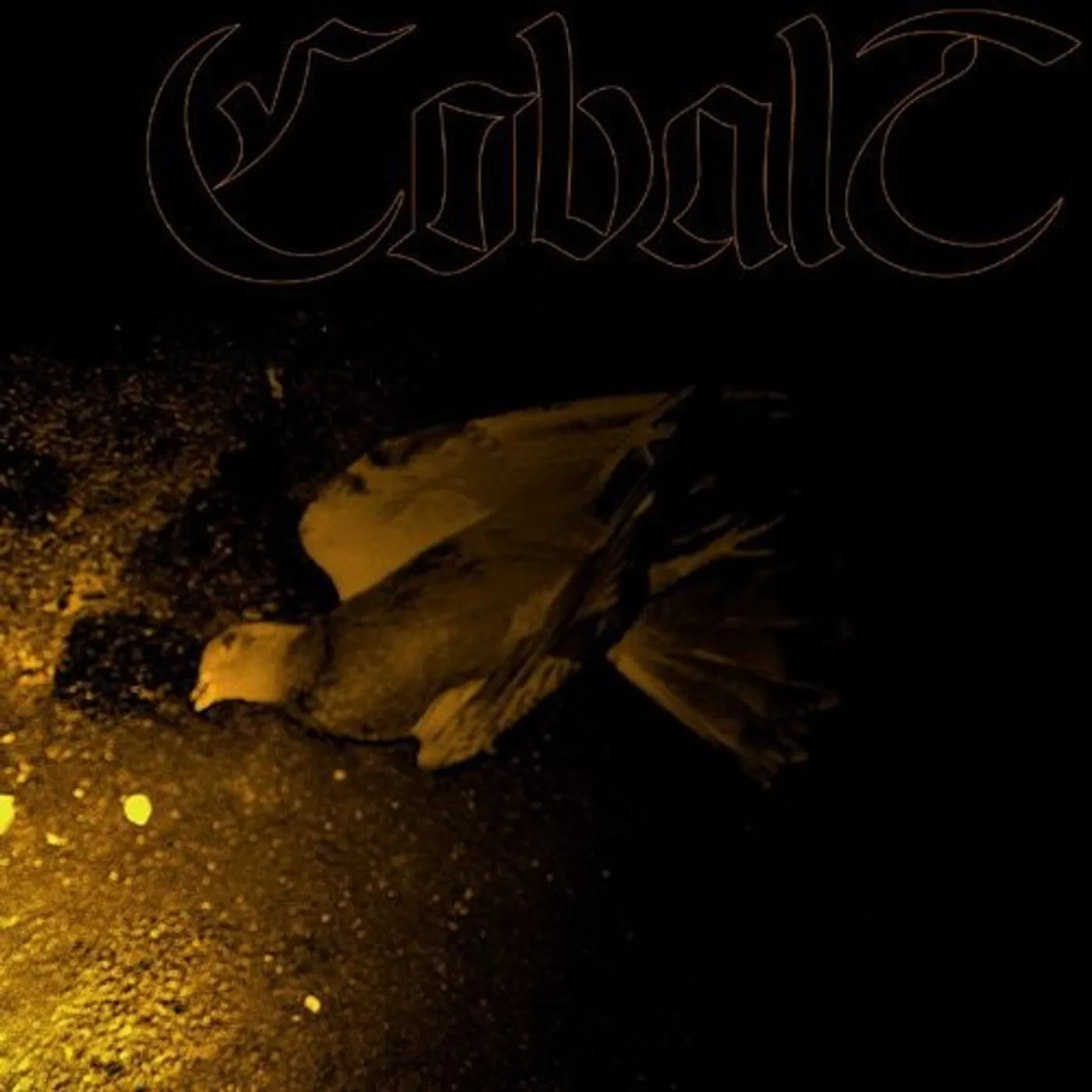 Cobalt Eater of Birds ( (2LP / 180g) Vinyl Record