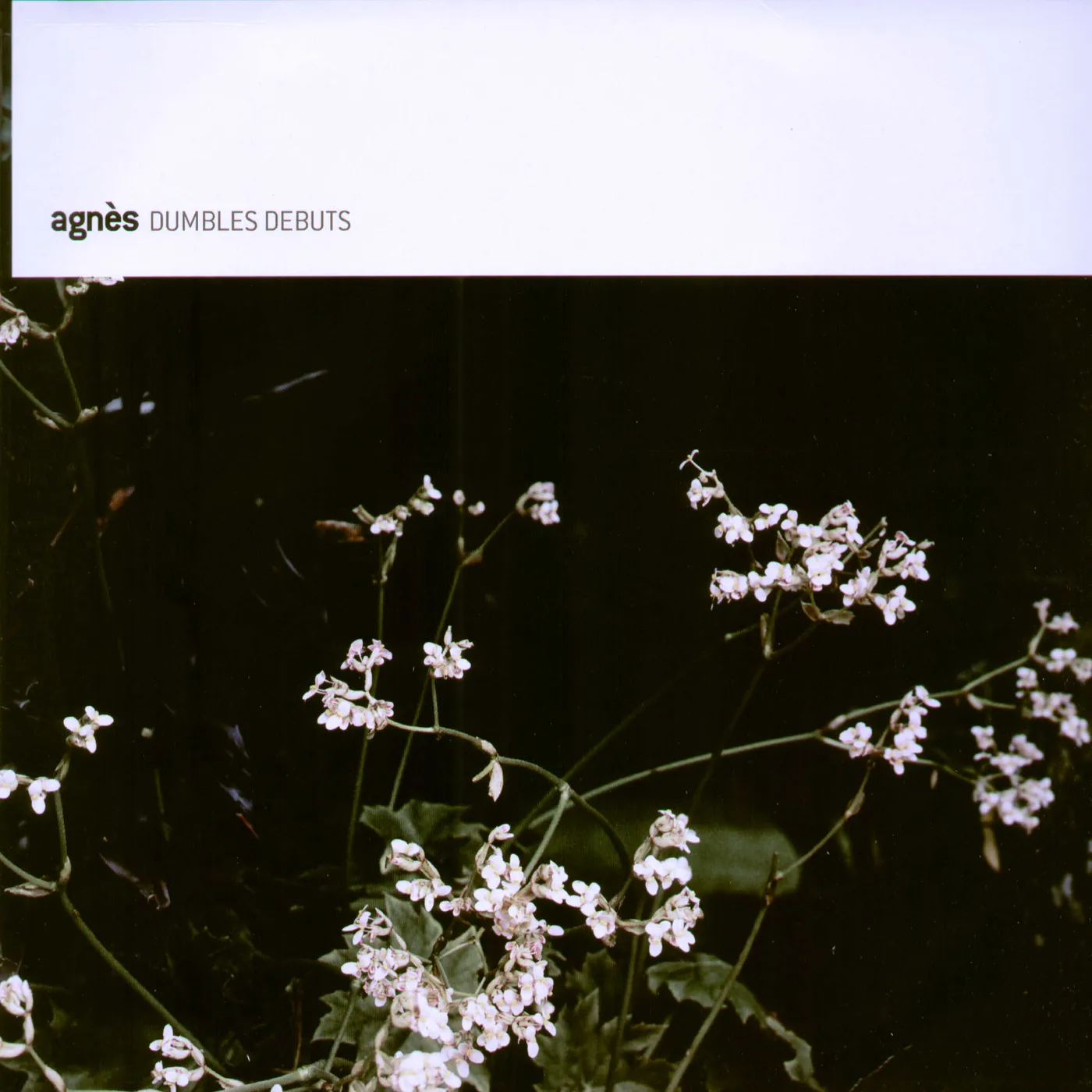 Agnes DUMBLES DEBUT Vinyl Record