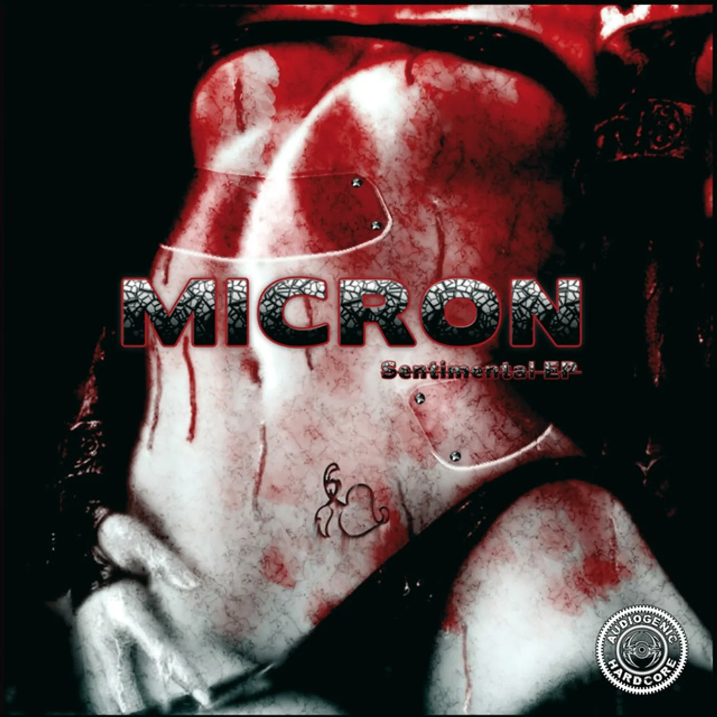 Micron Sentimental Vinyl Record