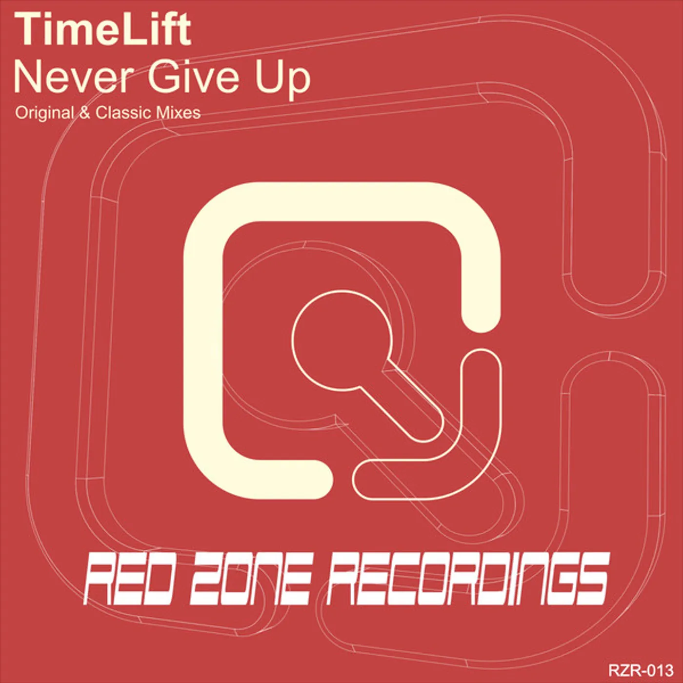 Copyright NEVER GIVE UP Vinyl Record