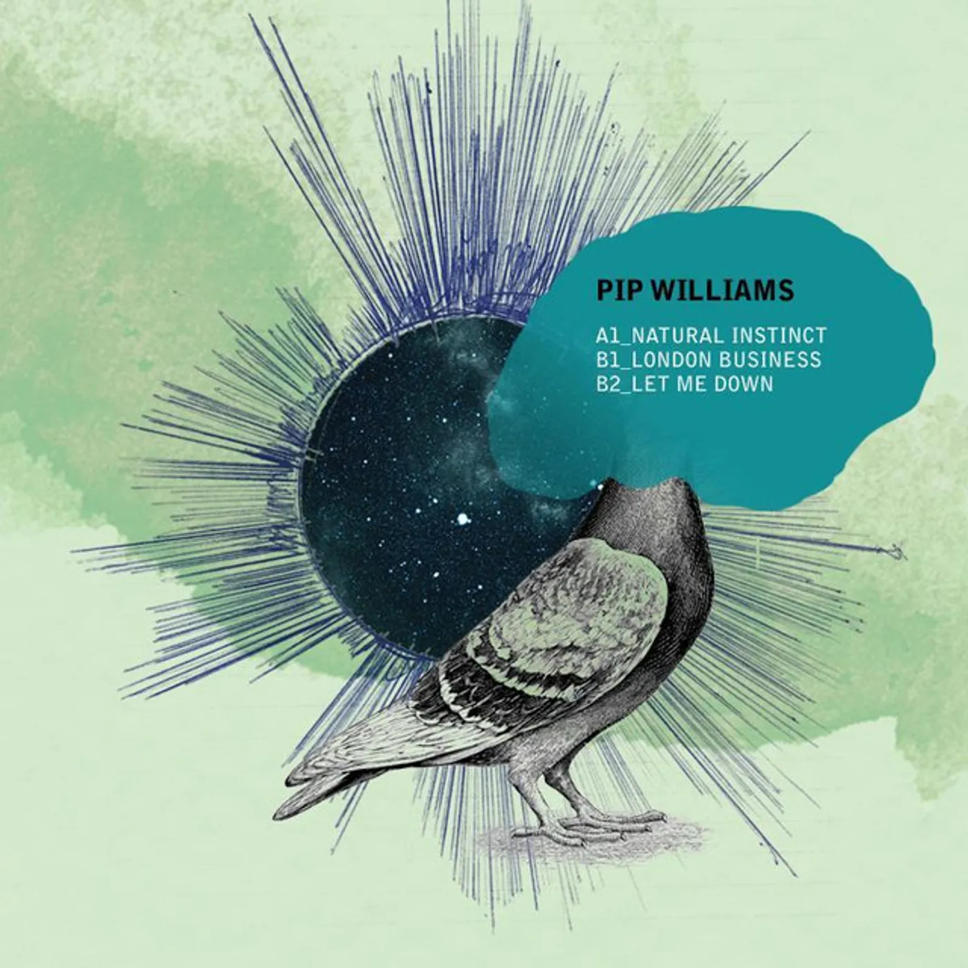 Pip Williams Natural Instinct Vinyl Record