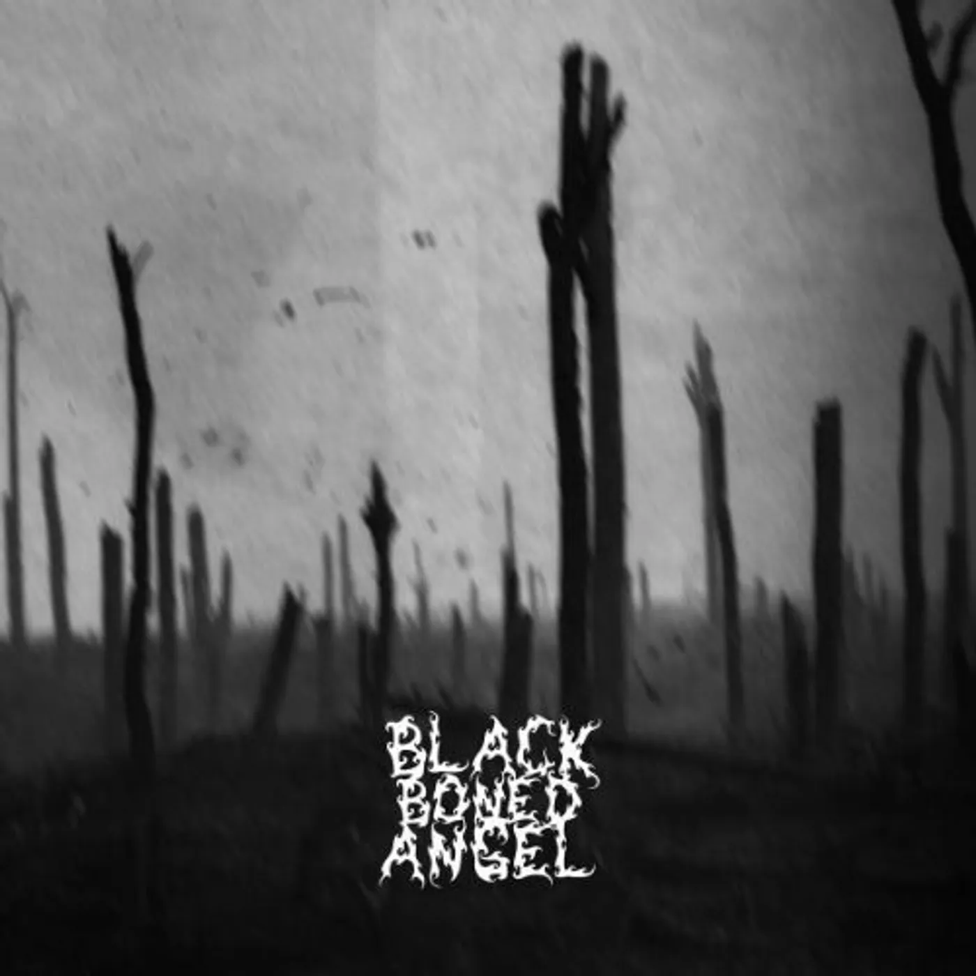 Black Boned Angel Verdun Vinyl Record