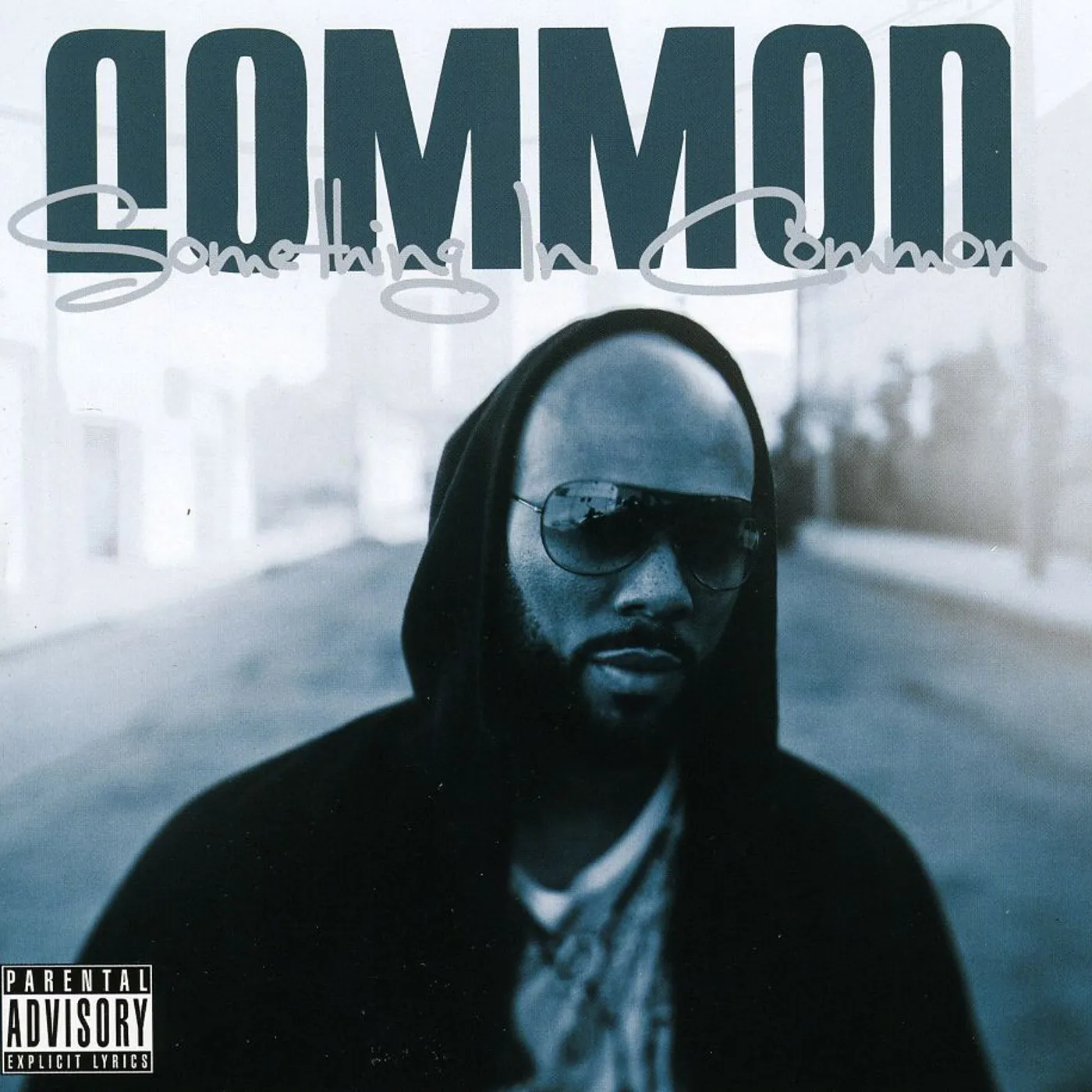 SOMETHING IN COMMON CD