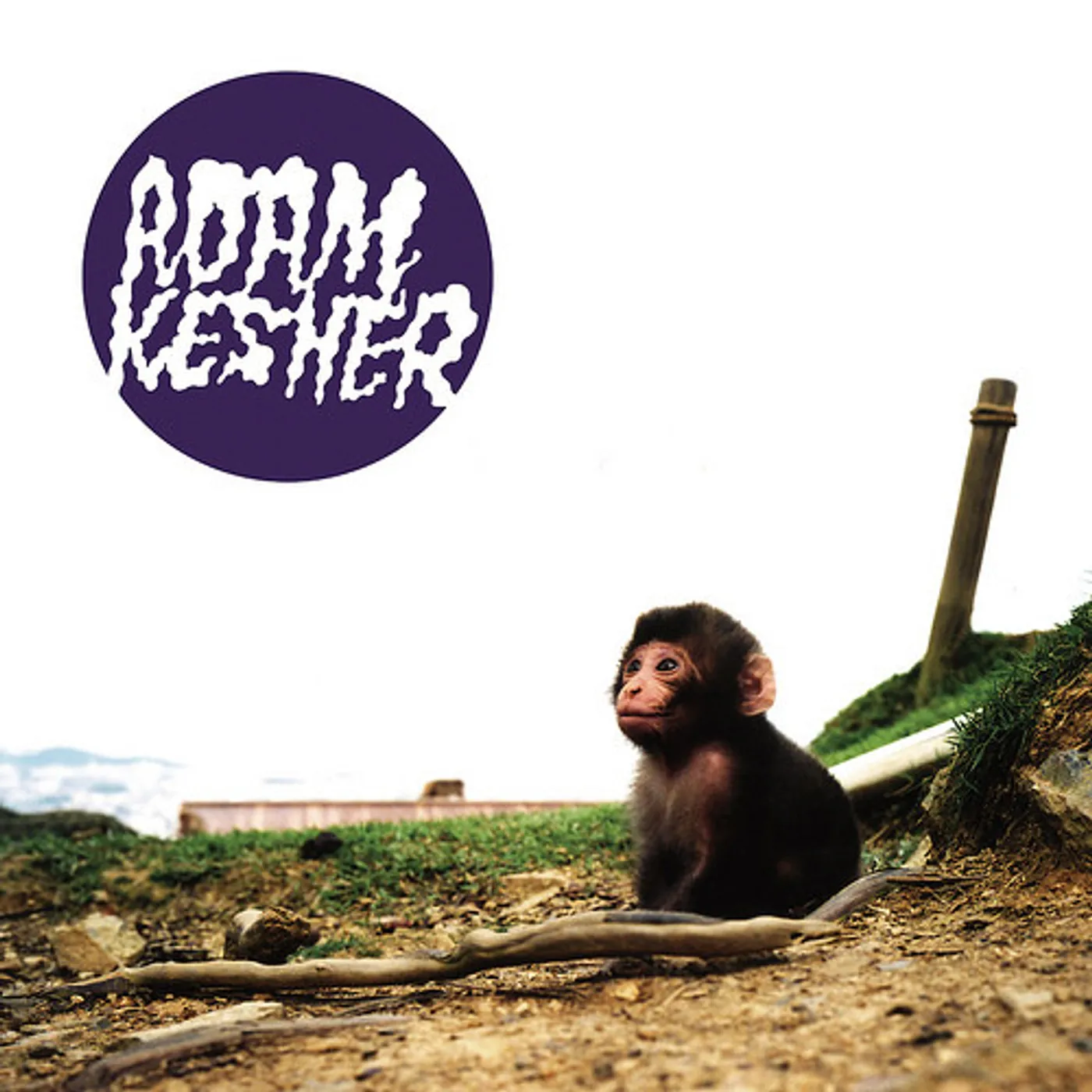 Adam Kesher LADIES LOATHING & LAUGHTER Vinyl Record