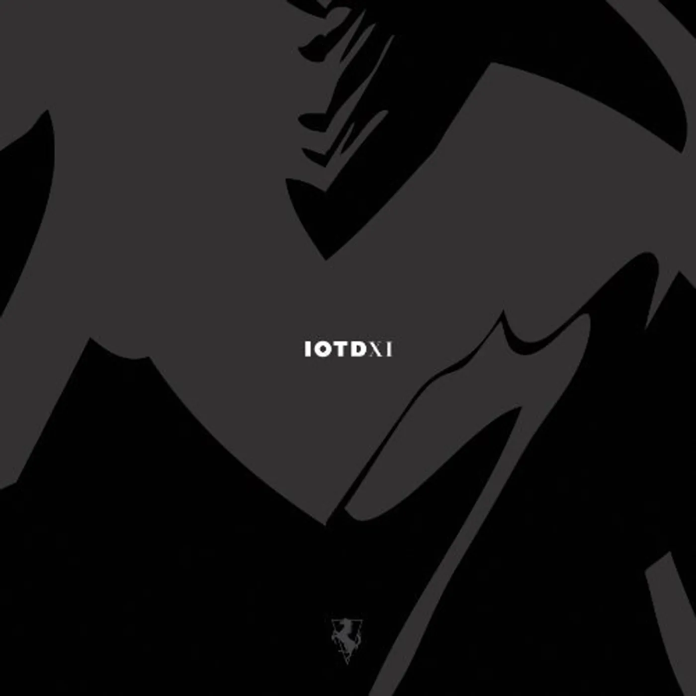 IOTDXI Vinyl Record