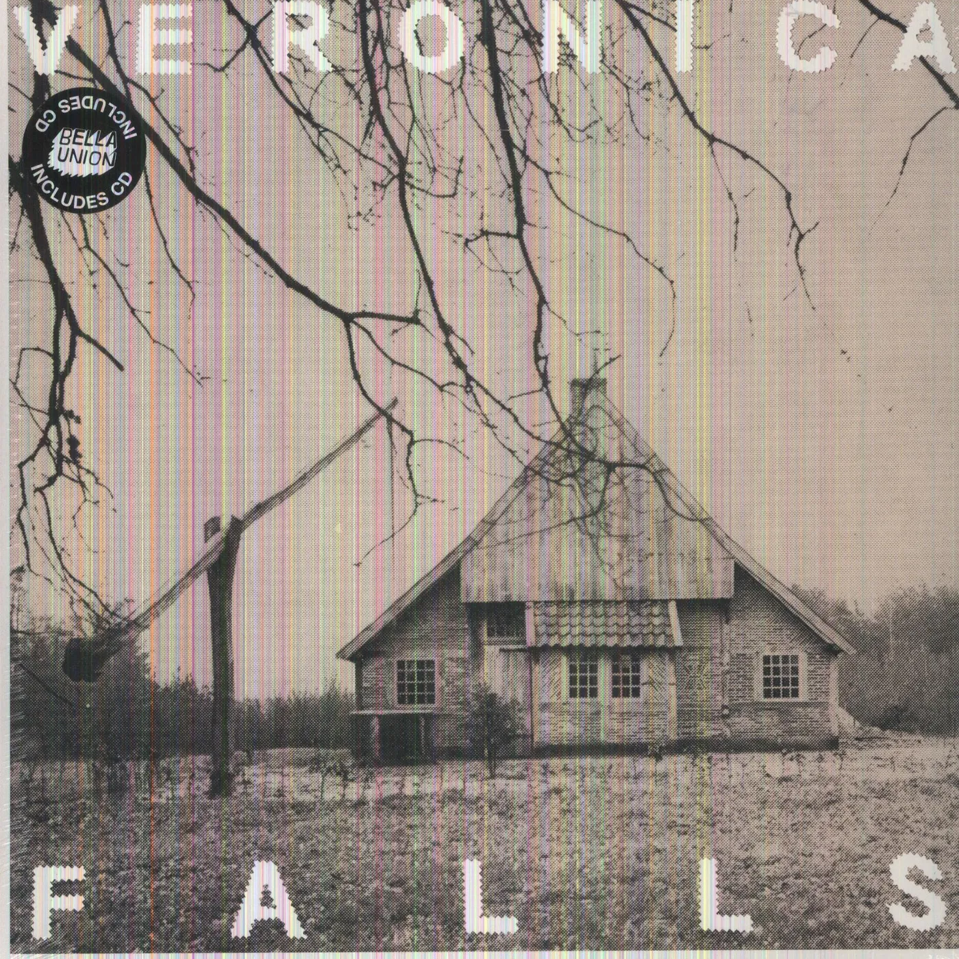 Veronica Falls Vinyl Record