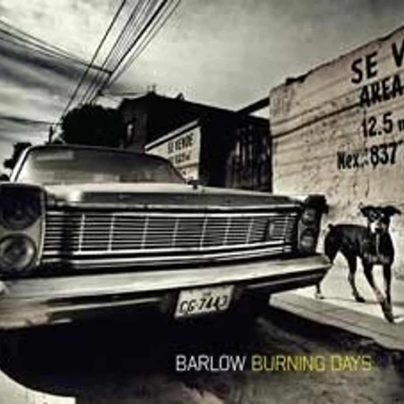 Barlow BURNING DAYS CD