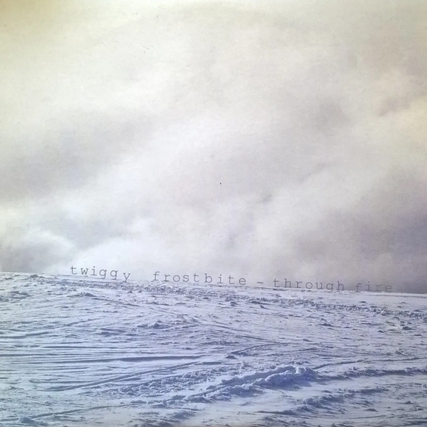 Twiggy Frostbite THROUGH FIRE (DIGIPACK) CD