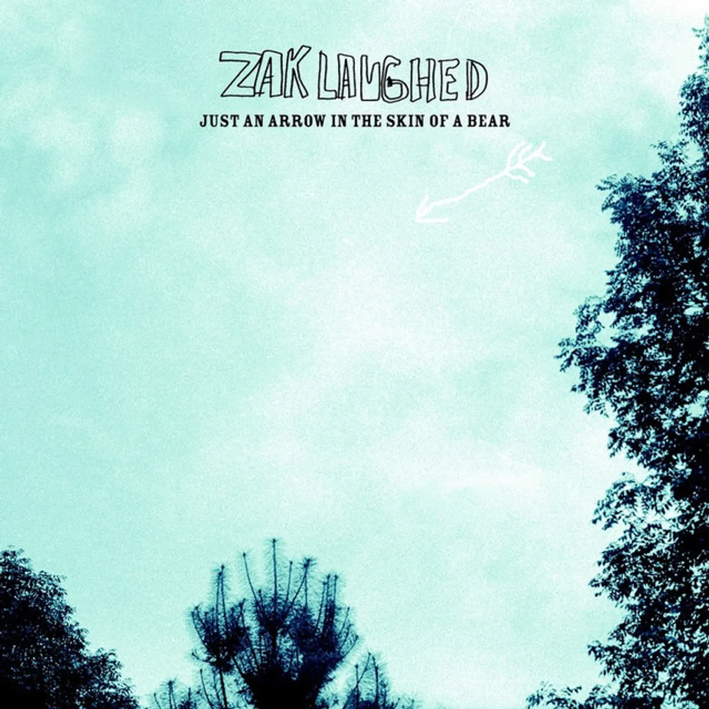 Zak Laughed Just An Arrow In The Skin Of A Bear Vinyl Record