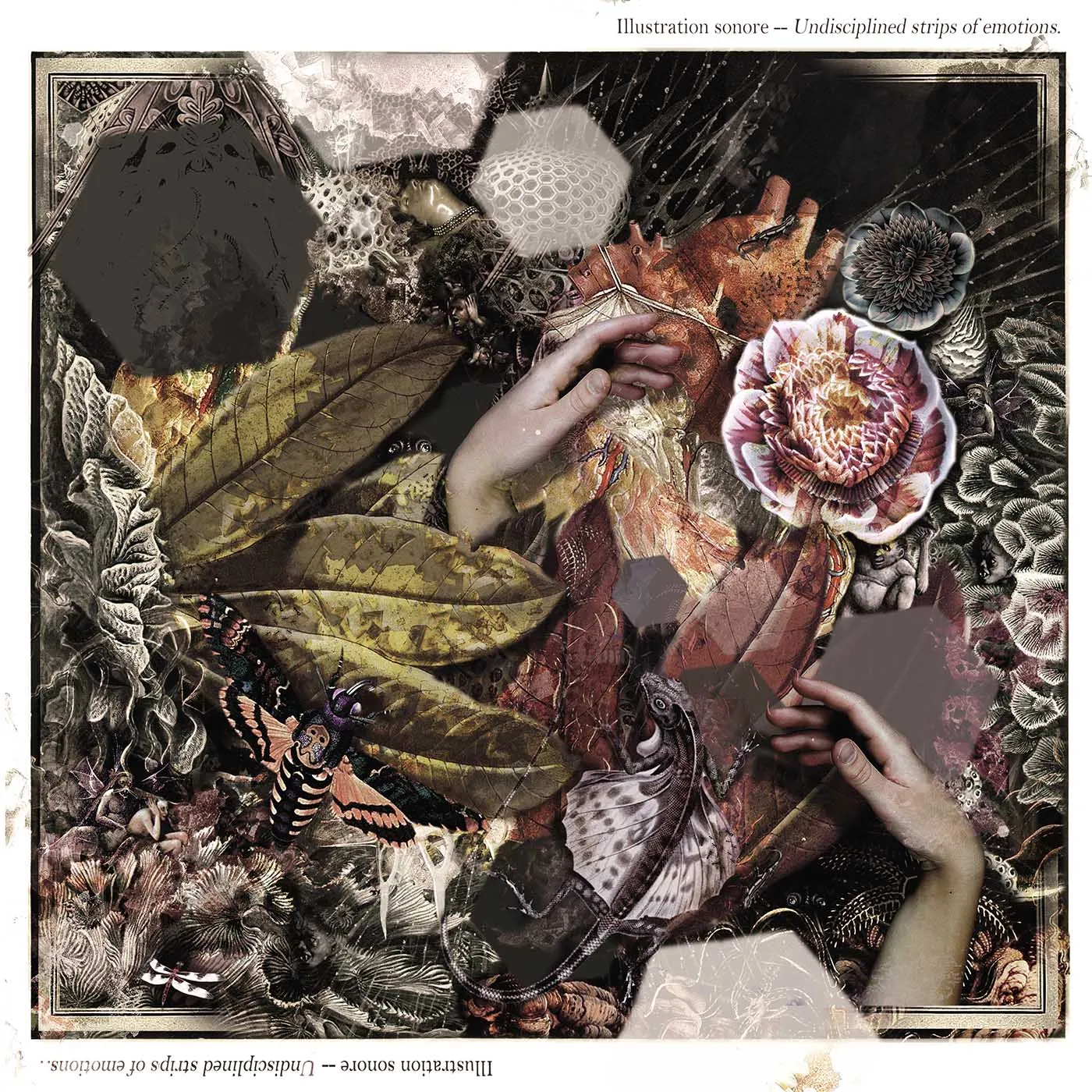 Illustration Sonore Undisciplined Strips of Emotions Vinyl Record