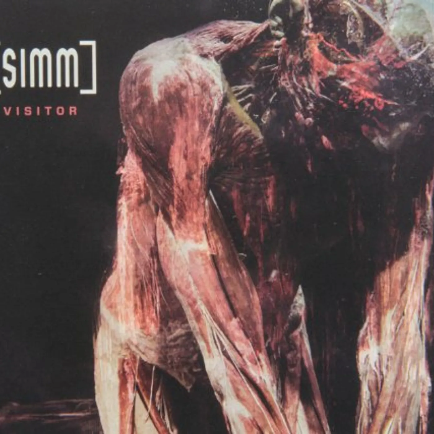 Simm VISITOR CD