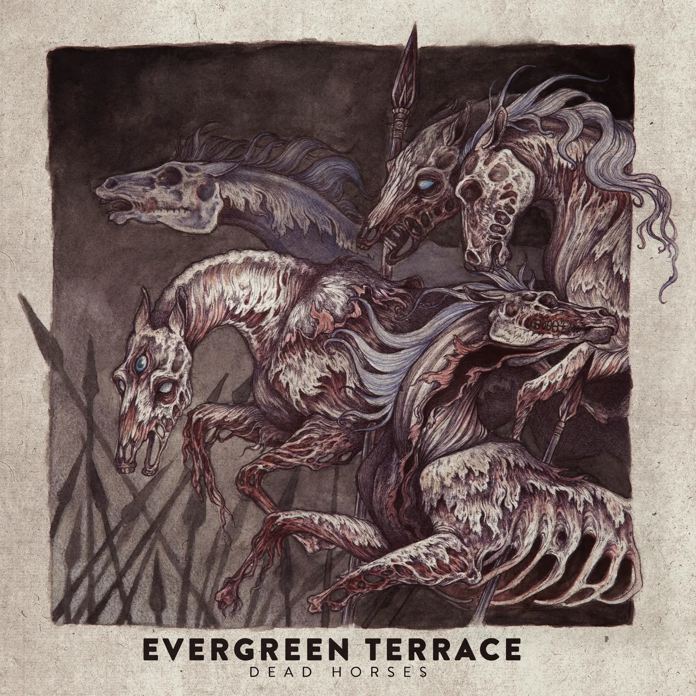 Evergreen Terrace DEAD HORSES CD