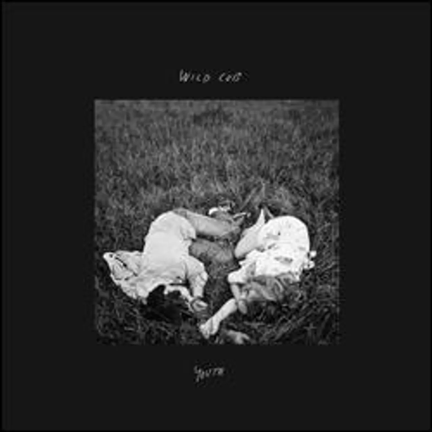 Wild Cub YOUTH CD
