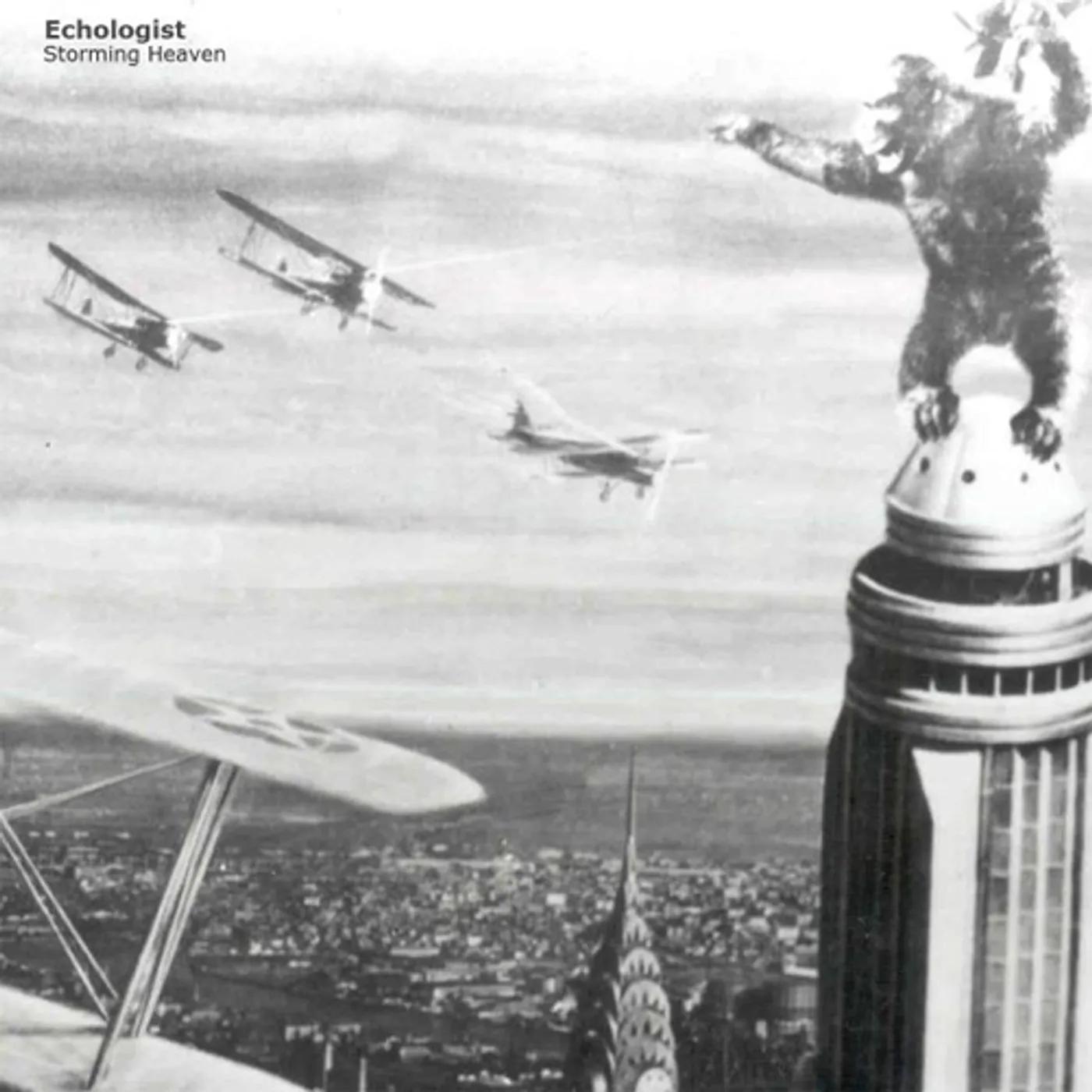 Echologist Storming Heaven Vinyl Record