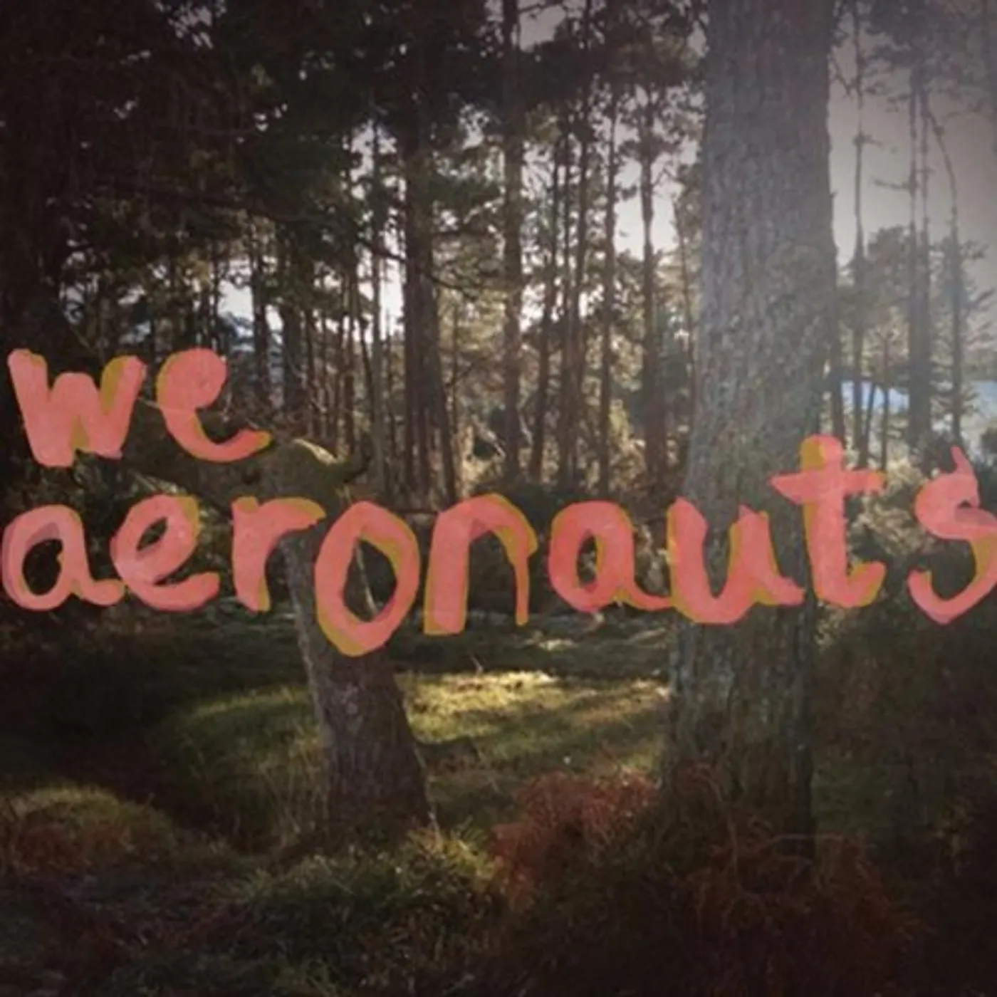 We Aeronauts CHALON VALLEY CD