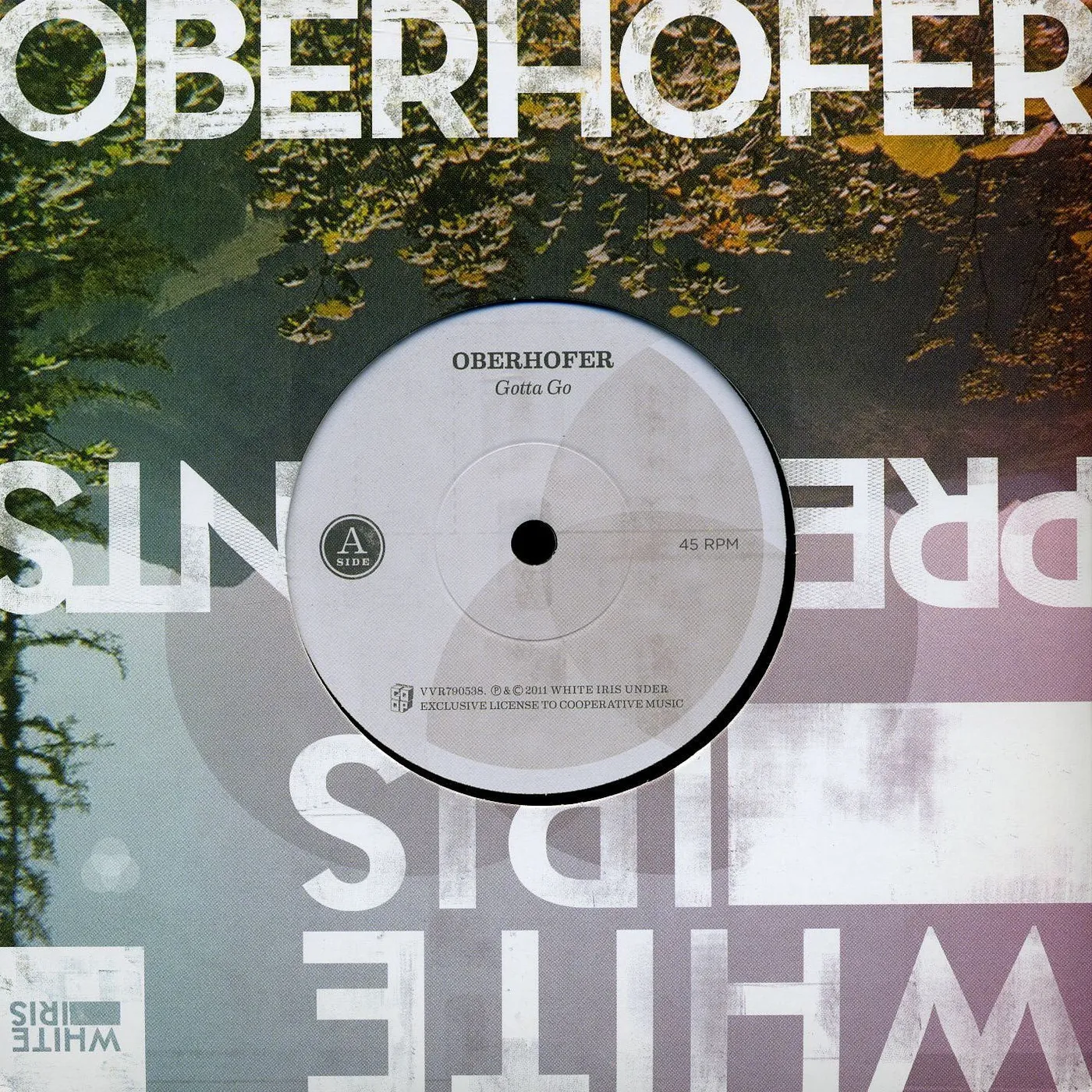 Oberhofer Gotta Go Vinyl Record