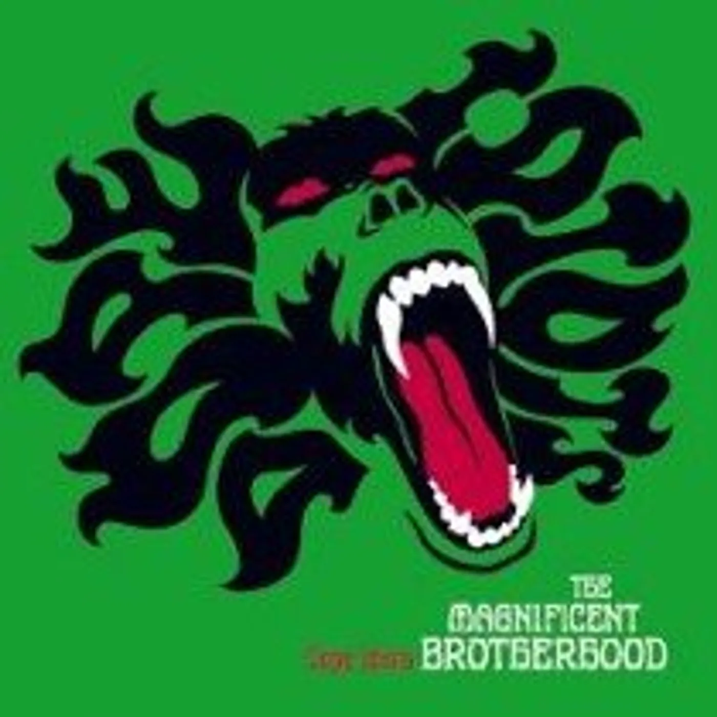 The Magnificent Brotherhood Dope Idiots Vinyl Record
