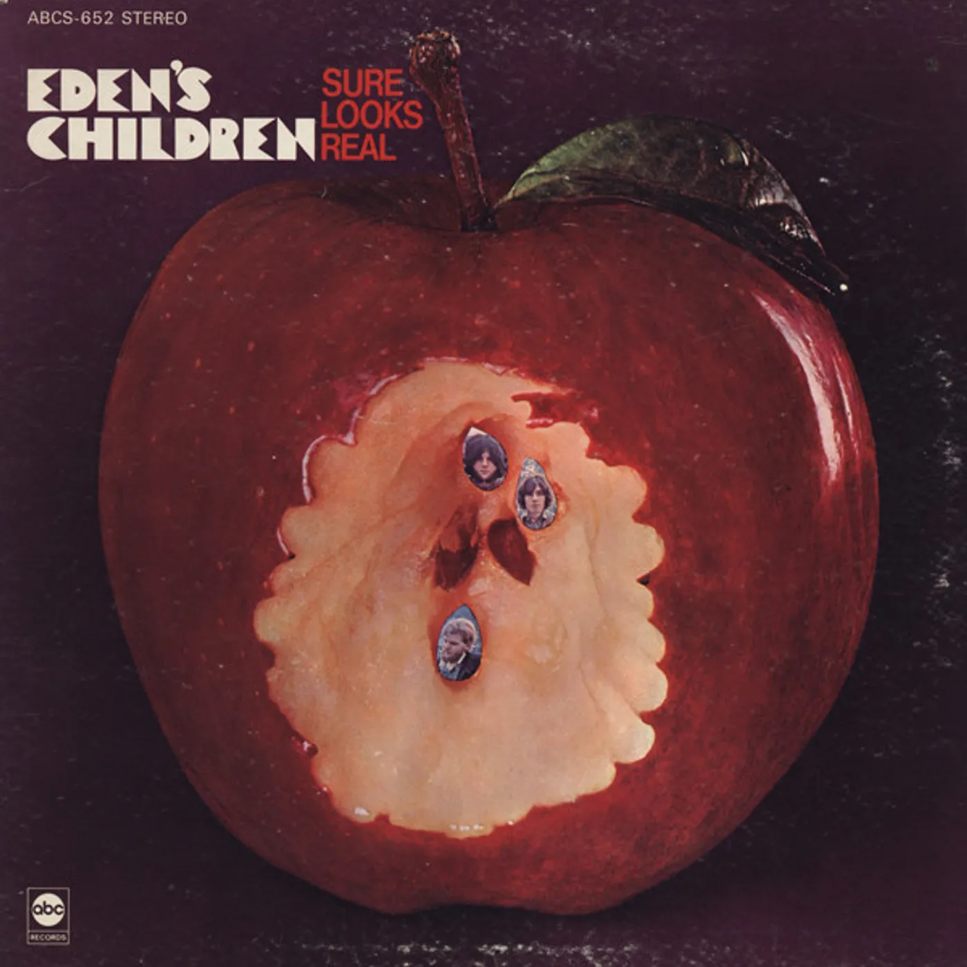 Eden's Children Sure Looks Real Vinyl Record