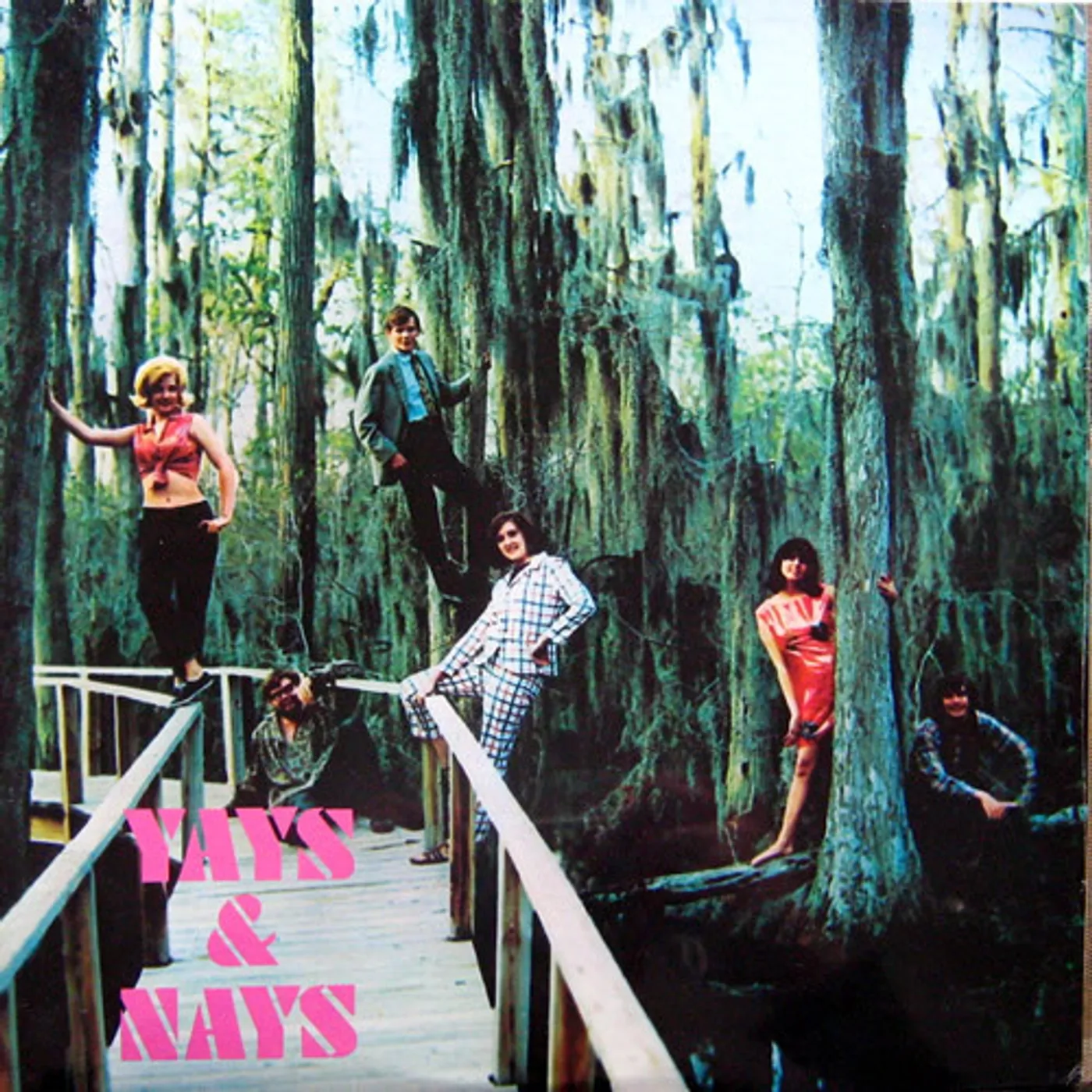 The Yays & Nays Vinyl Record