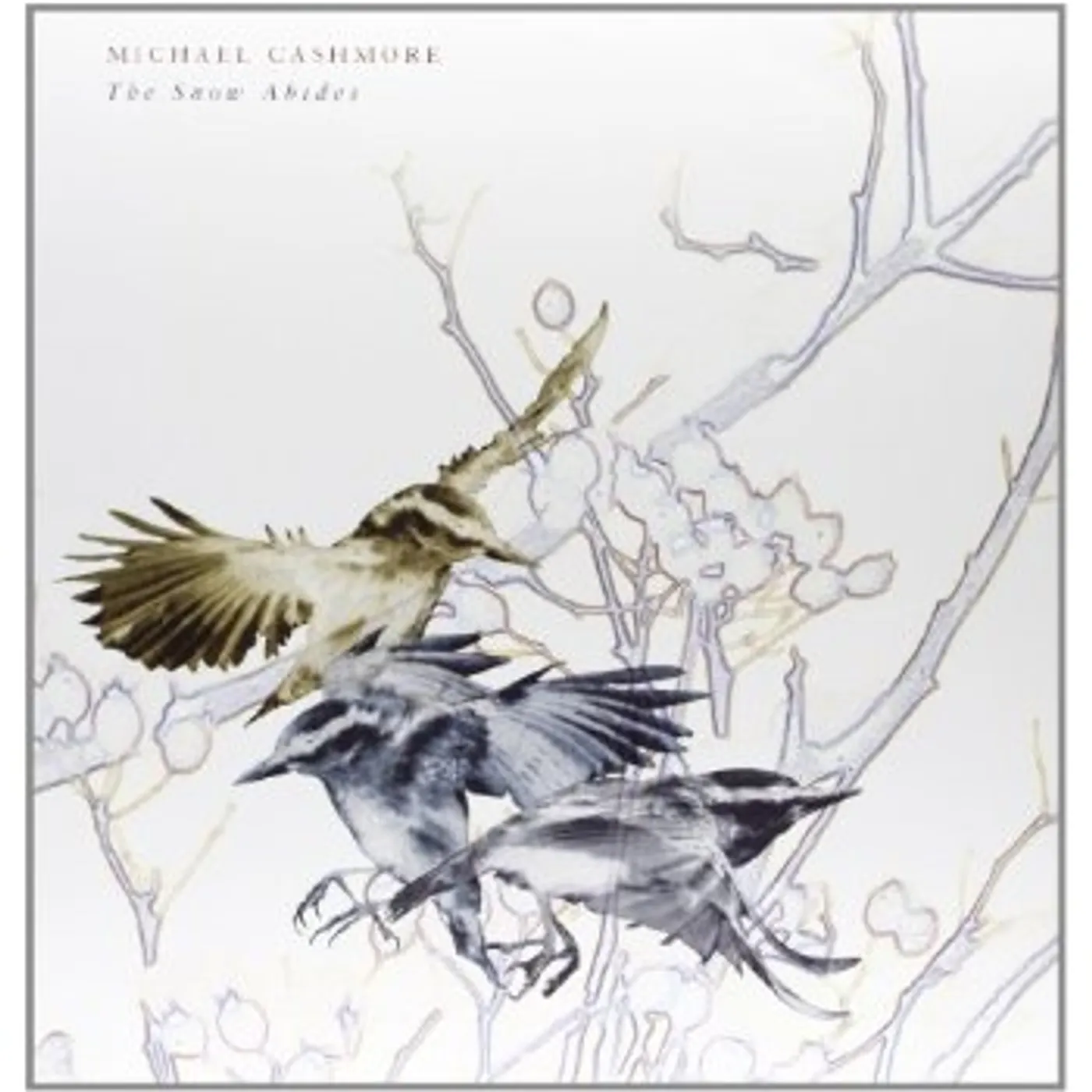 Michael Cashmore SNOW ABIDES Vinyl Record