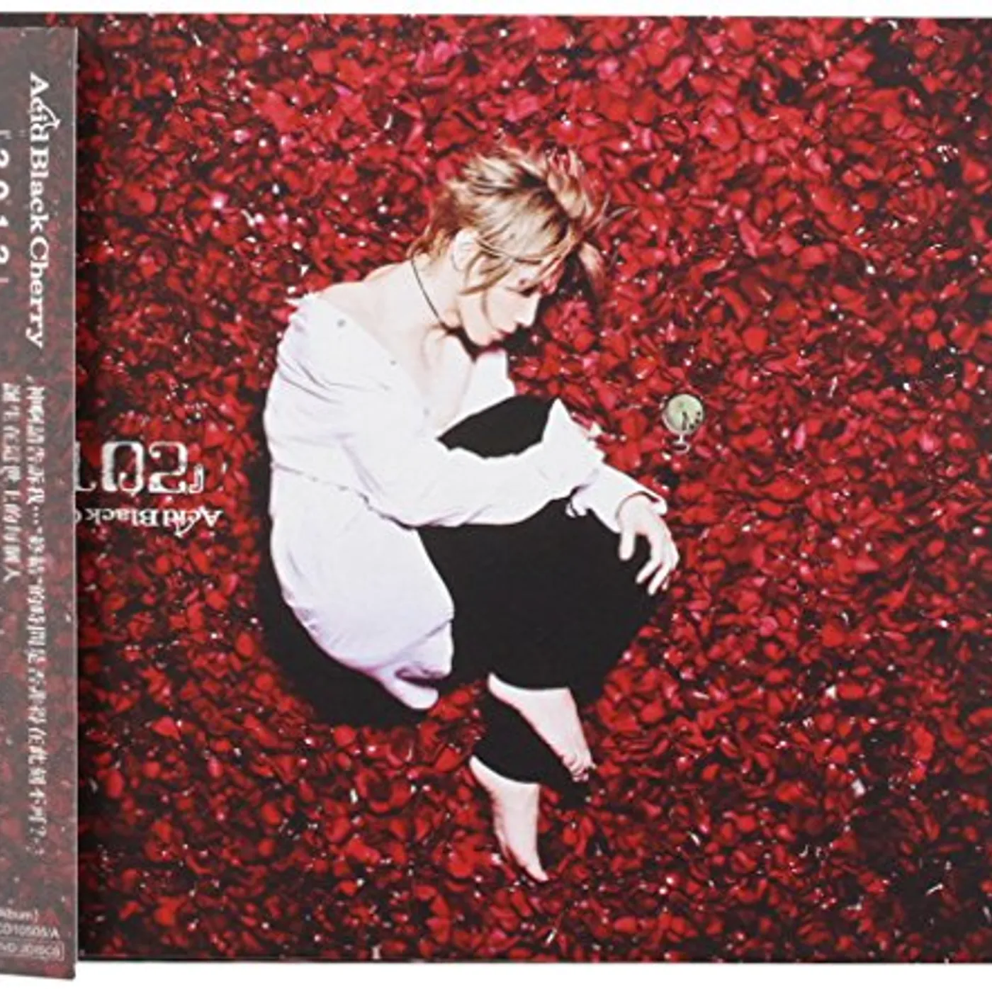 Acid Black Cherry 2012 CD