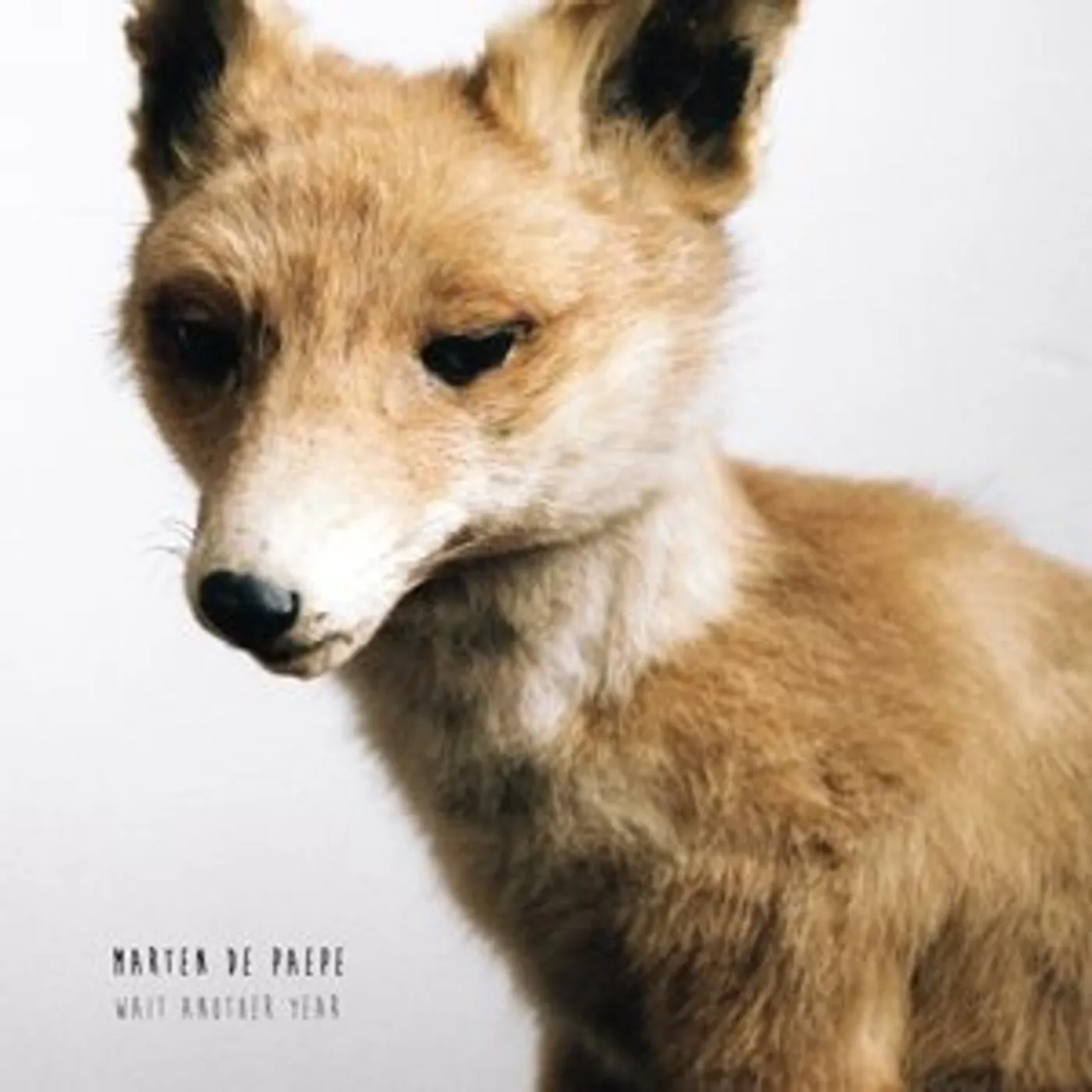 Marten De Paepe Wait Another Year Vinyl Record