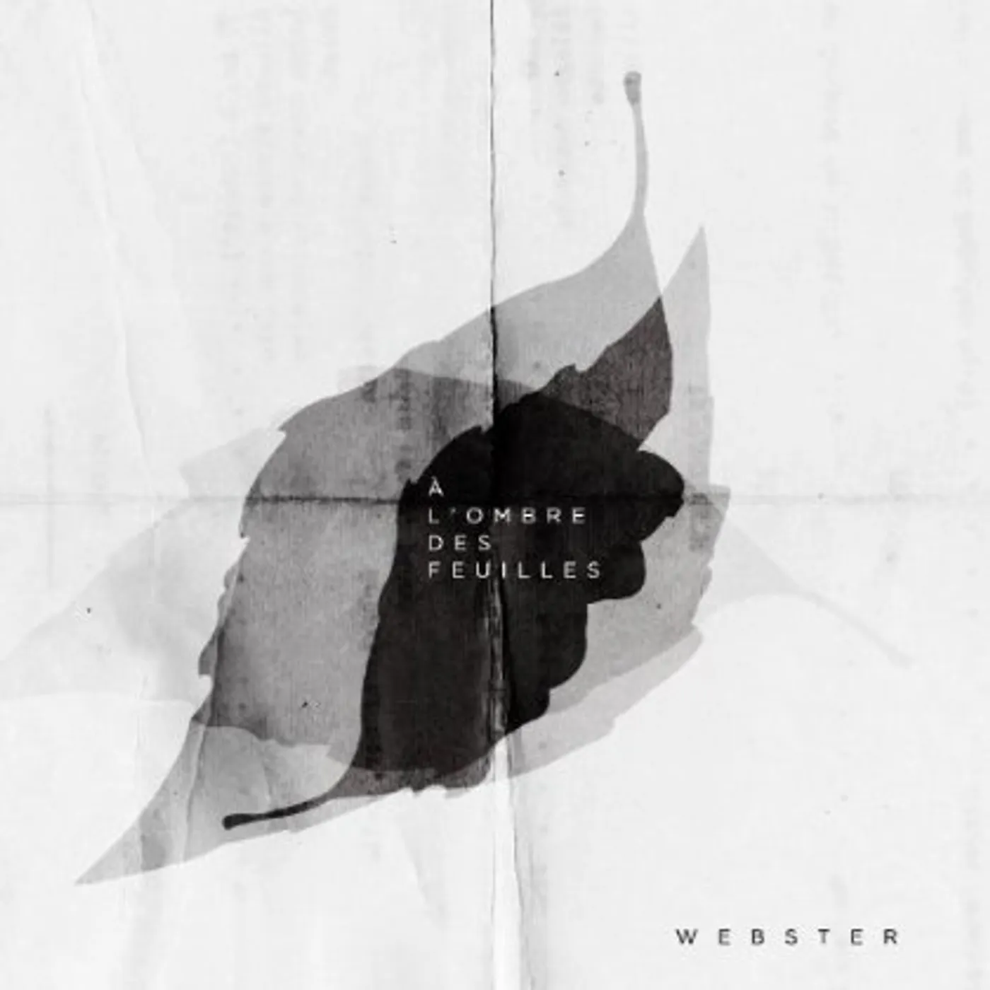 Webster A L'OMBRE DES FEUILLES CD
