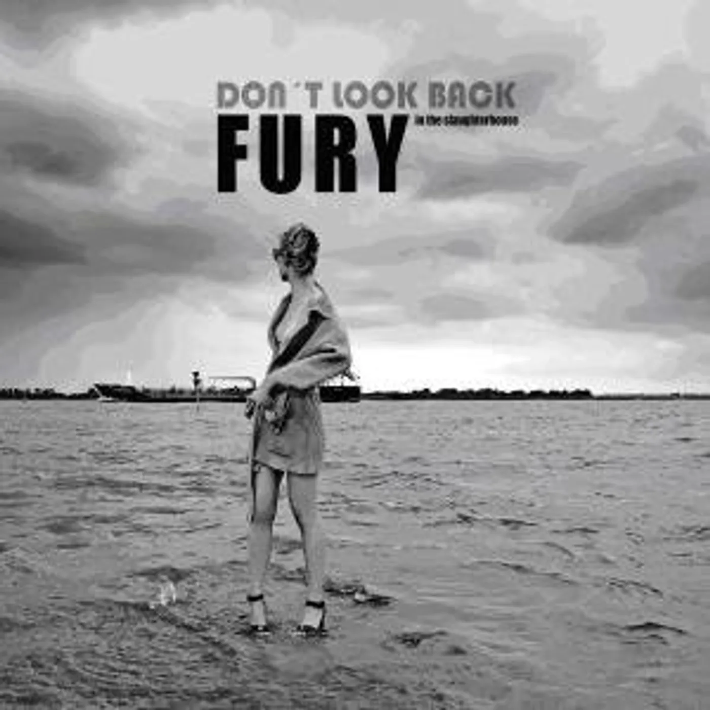 Fury In The Slaughterhouse DON'T LOOK BACK CD