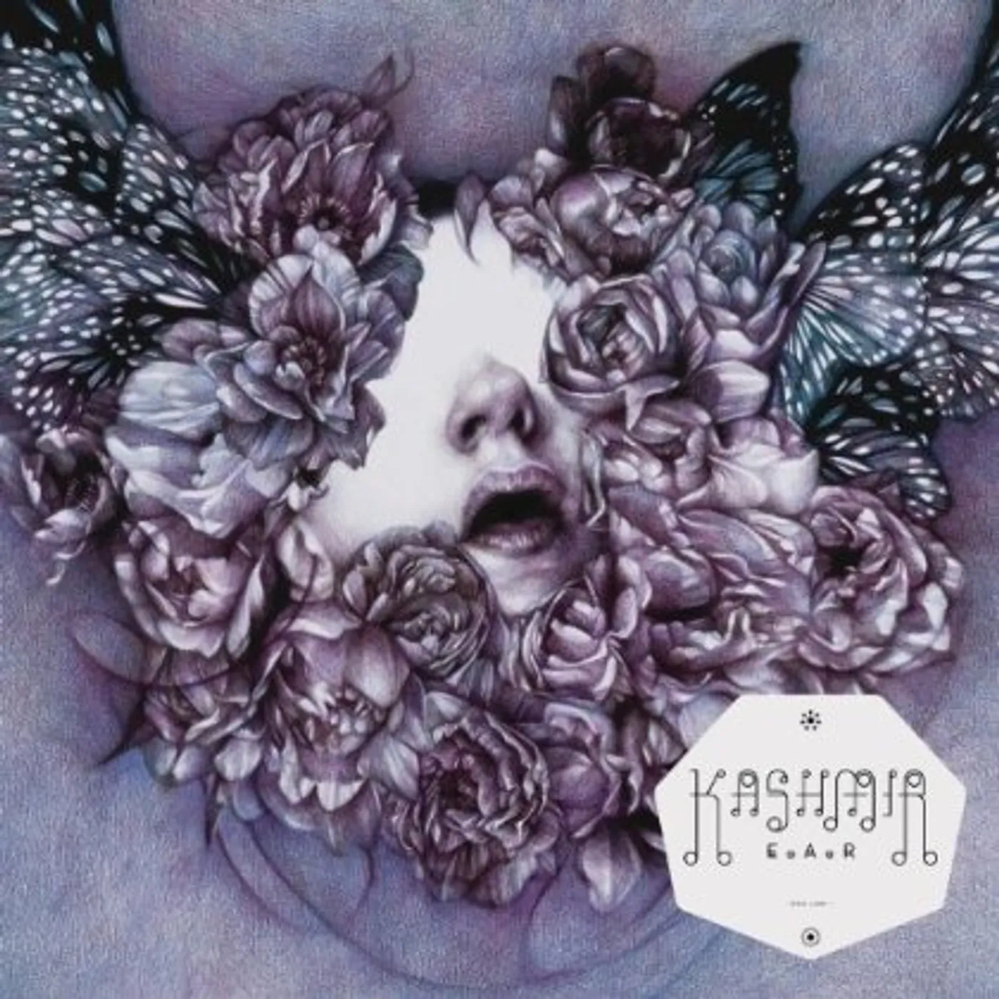 Kashmir E.A.R CD