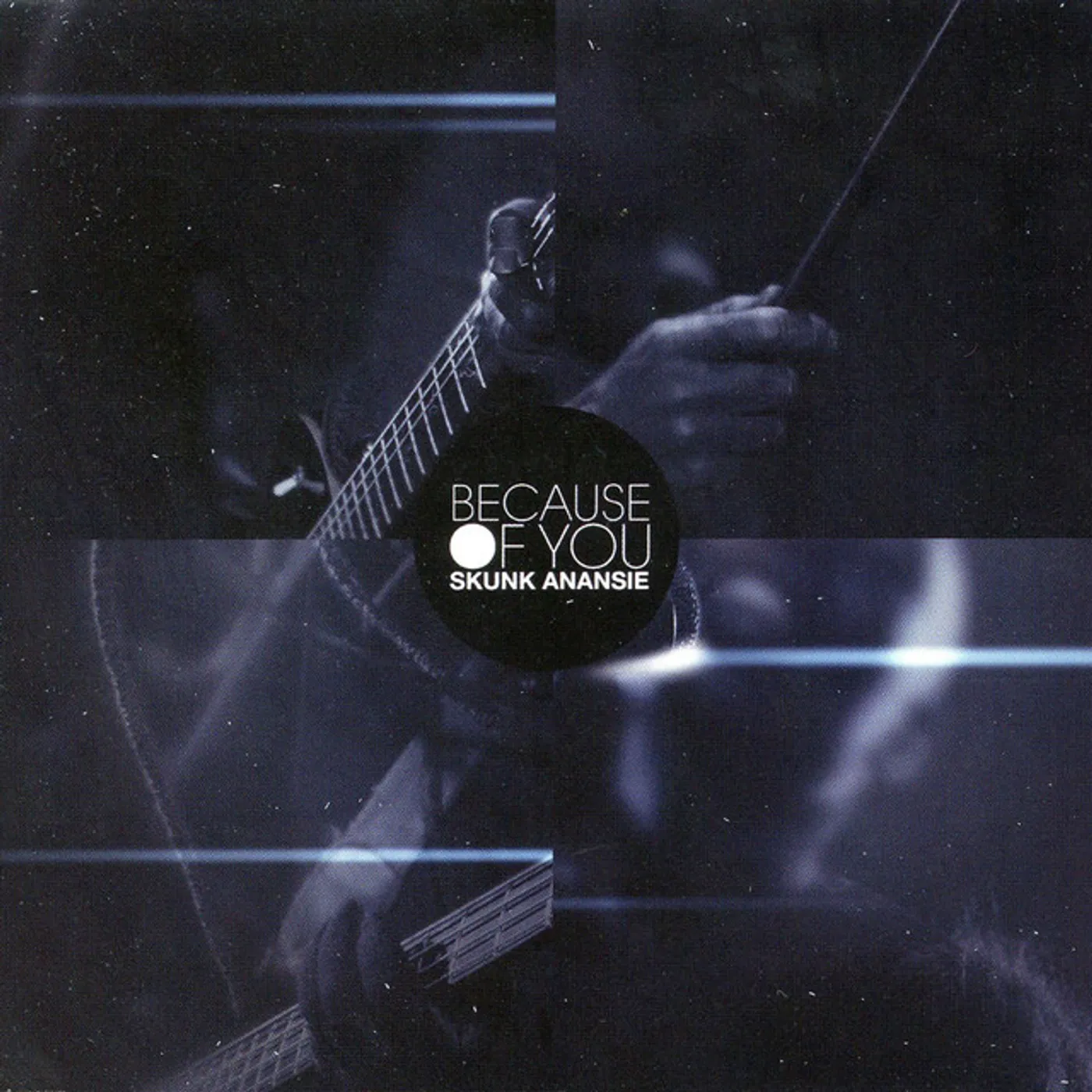 Skunk Anansie Because of You Vinyl Record