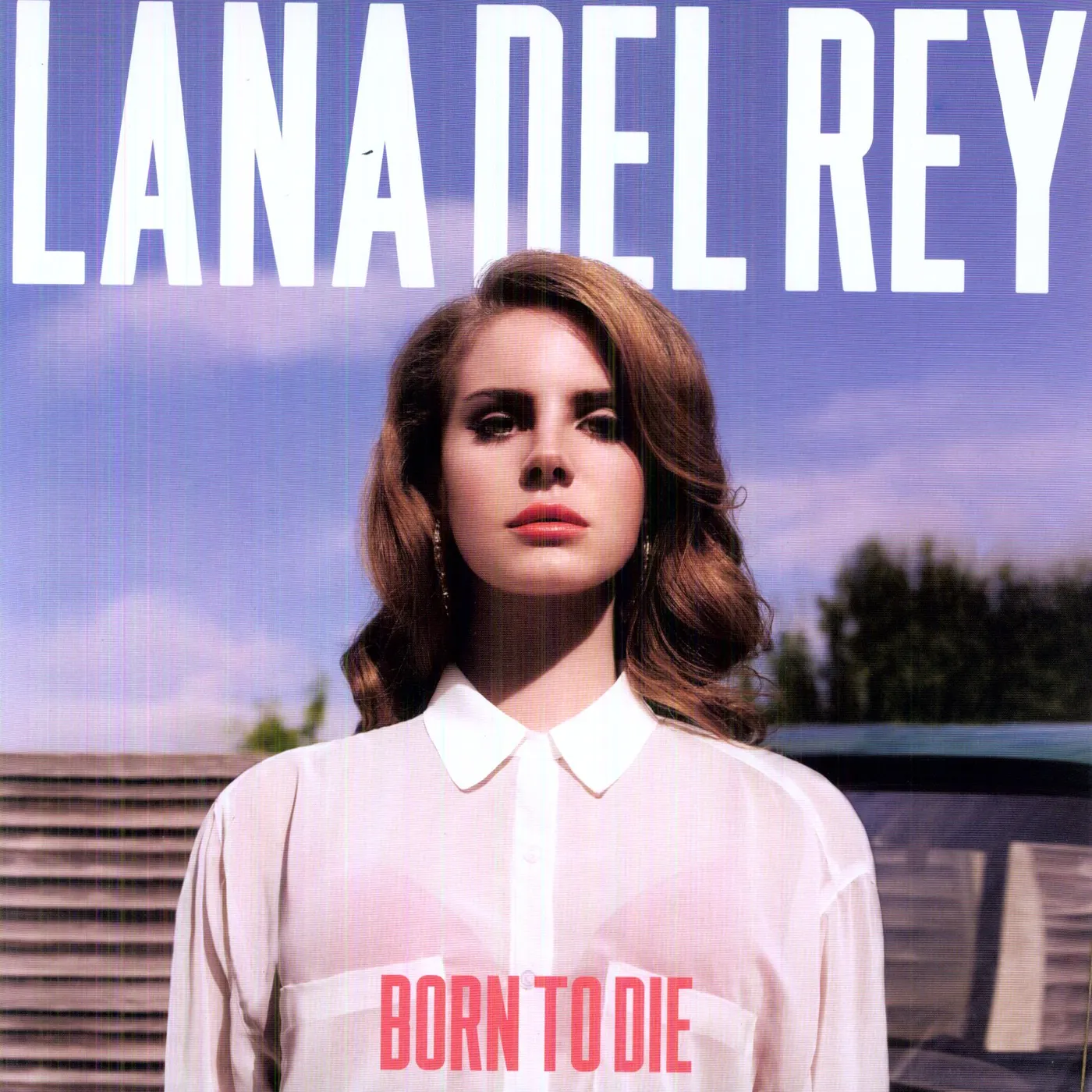 Lana Del Rey Born To Die Vinyl Record
