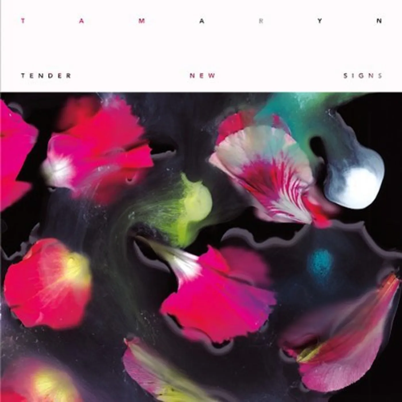 Tamaryn TENDER NEW SIGNS CD