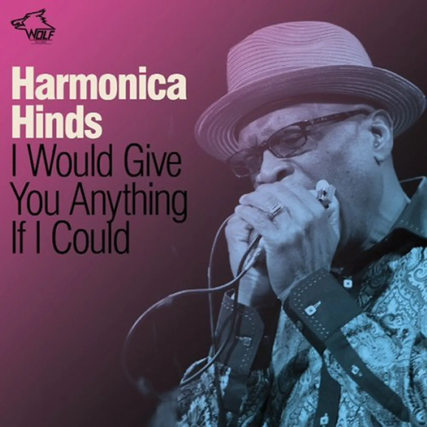 Harmonica Hinds I WOULD GIVE YOU ANYTHING IF I COULD CD