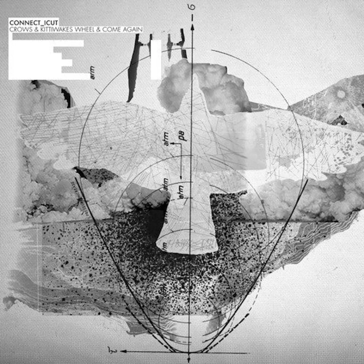 Connecticut Crows & Kittiwakes Wheel & Come Again Vinyl Record