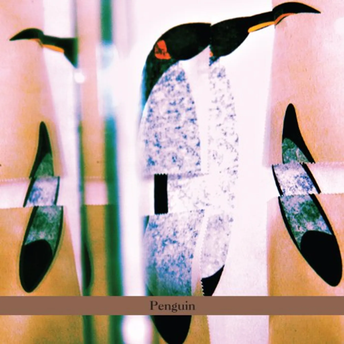 Zebrina HAMIDBAR MEDABER CD
