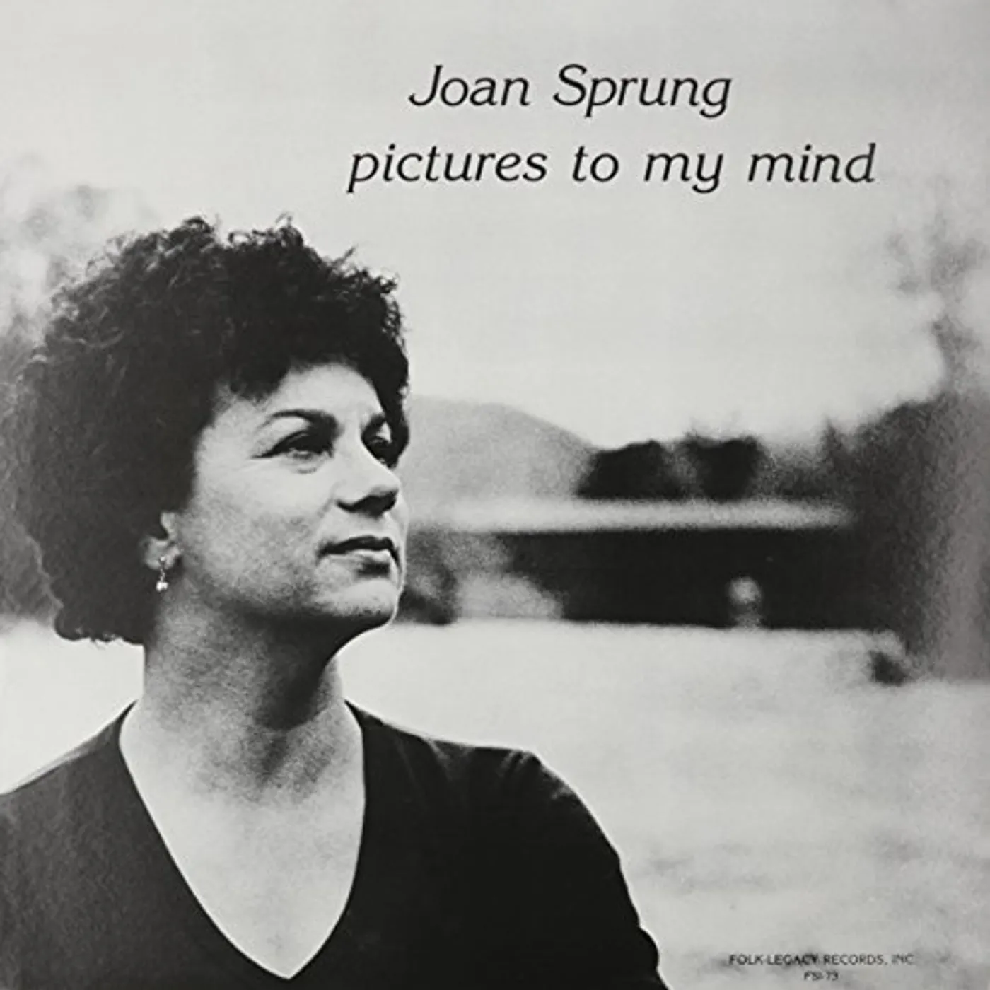 Joan Sprung Pictures to My Mind Vinyl Record