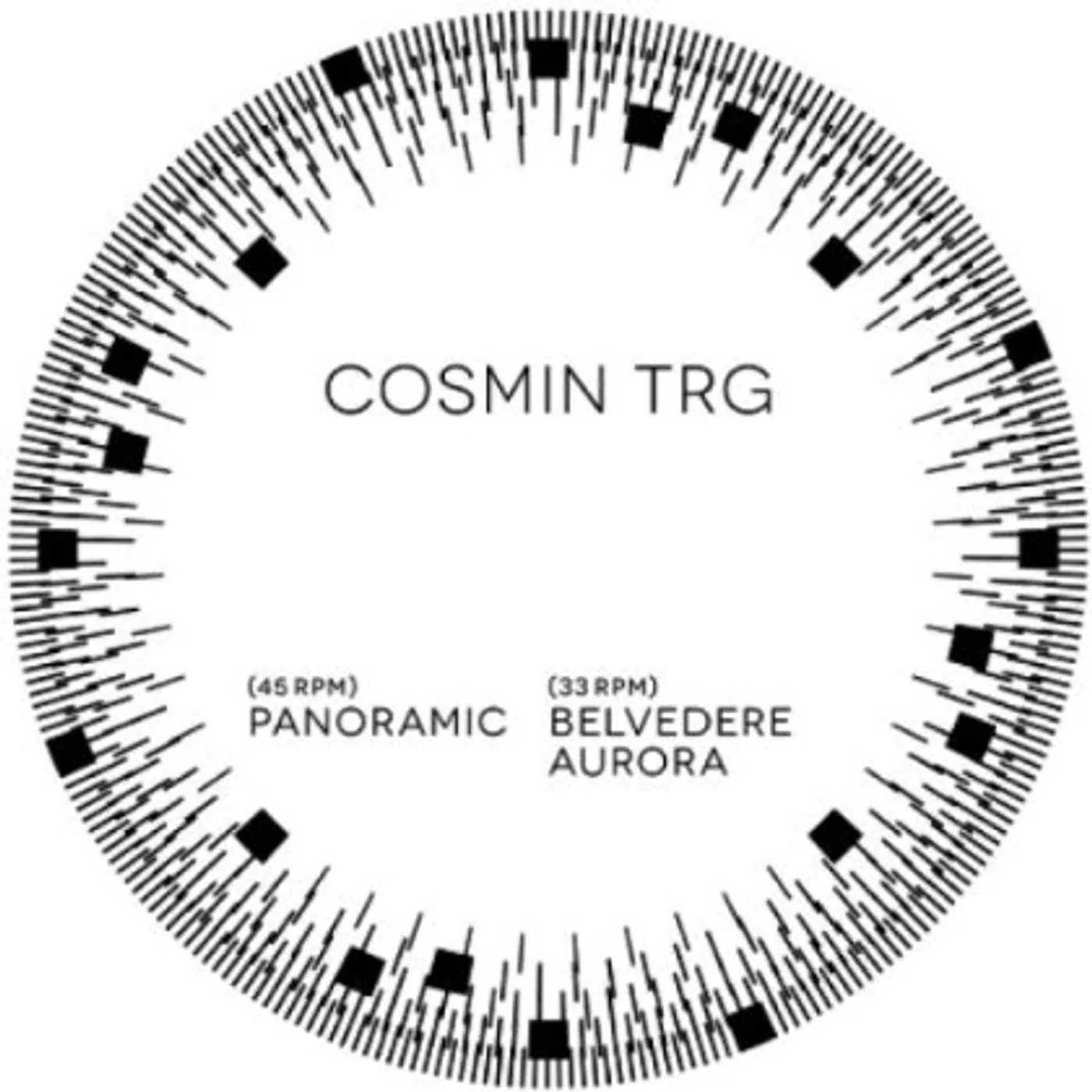 Cosmin TRG Panoramic Vinyl Record