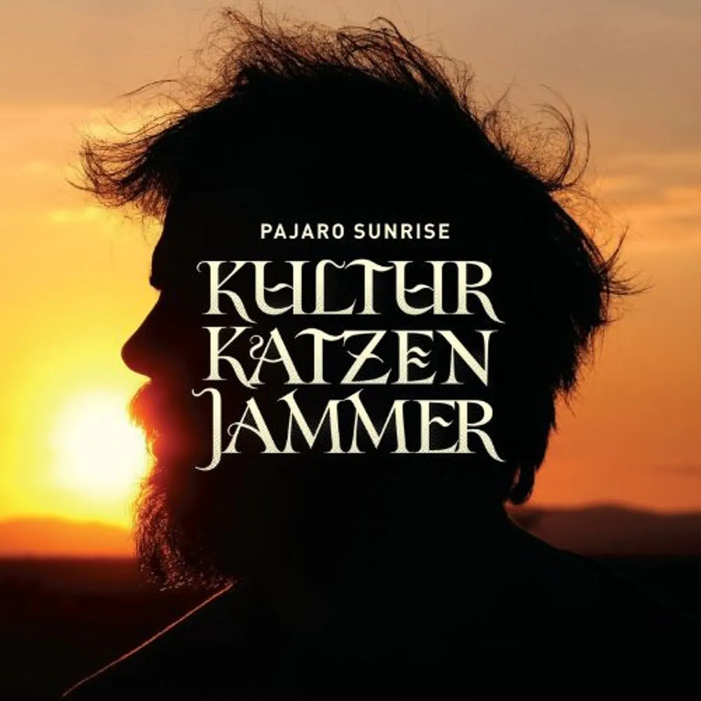 Pajaro Sunrise Kulturkatzenjammer Vinyl Record