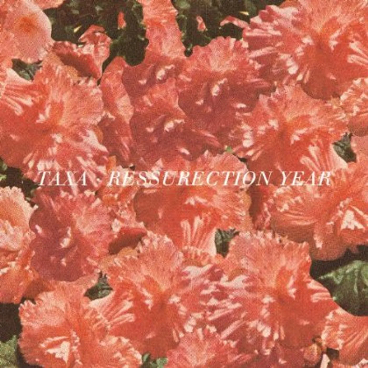 Taxa Resurrection Year Vinyl Record