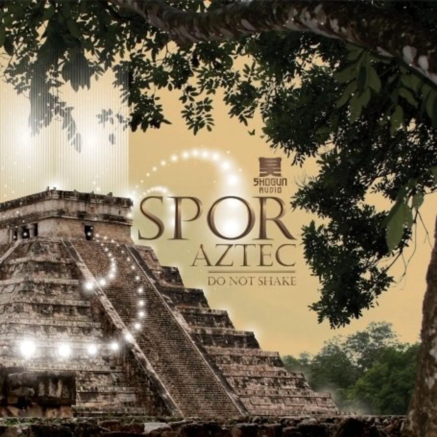 Spor AZTEC/DO NOT SHAKE Vinyl Record