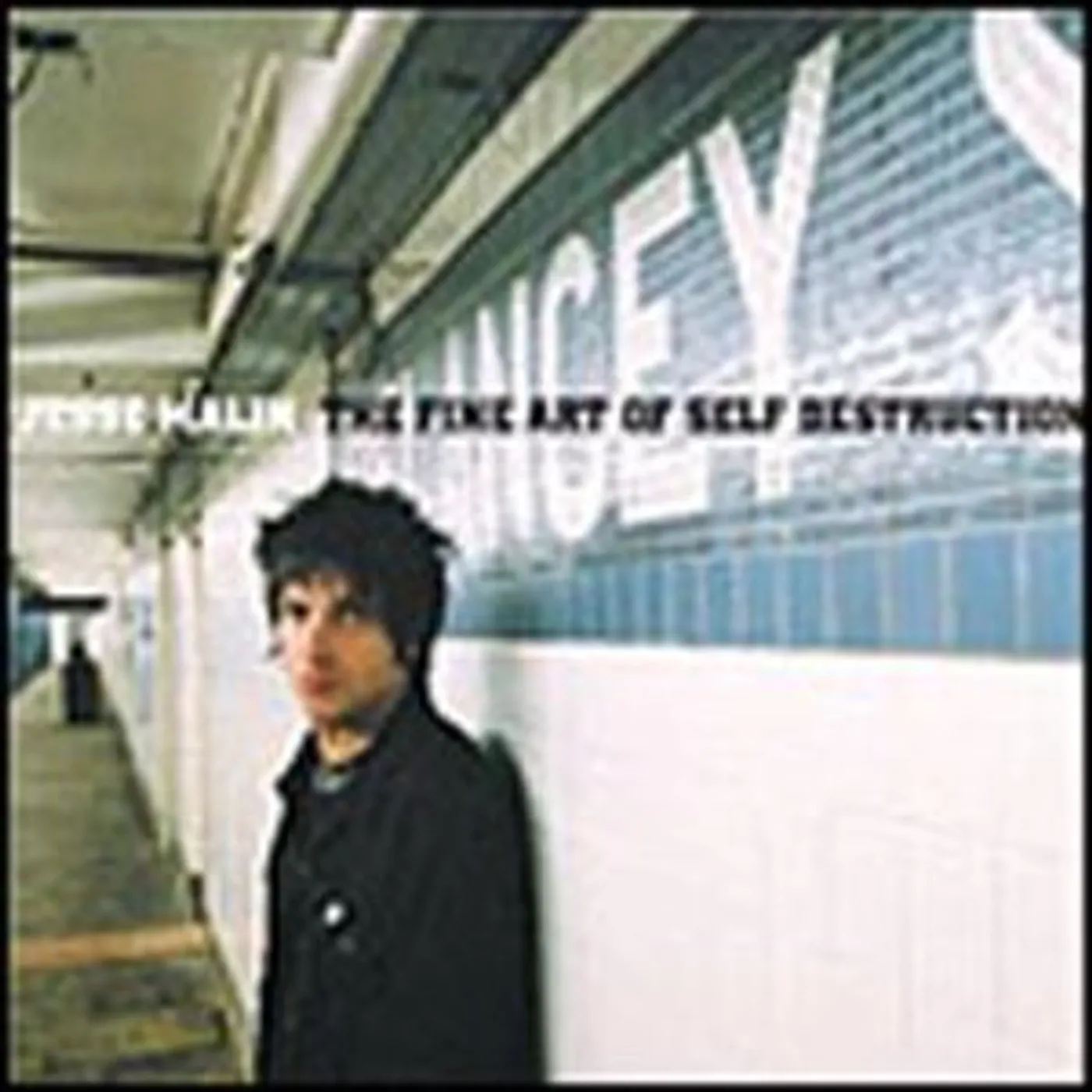Jesse Malin FINE ART OF SELF DESTRUCTION Vinyl Record - UK Release