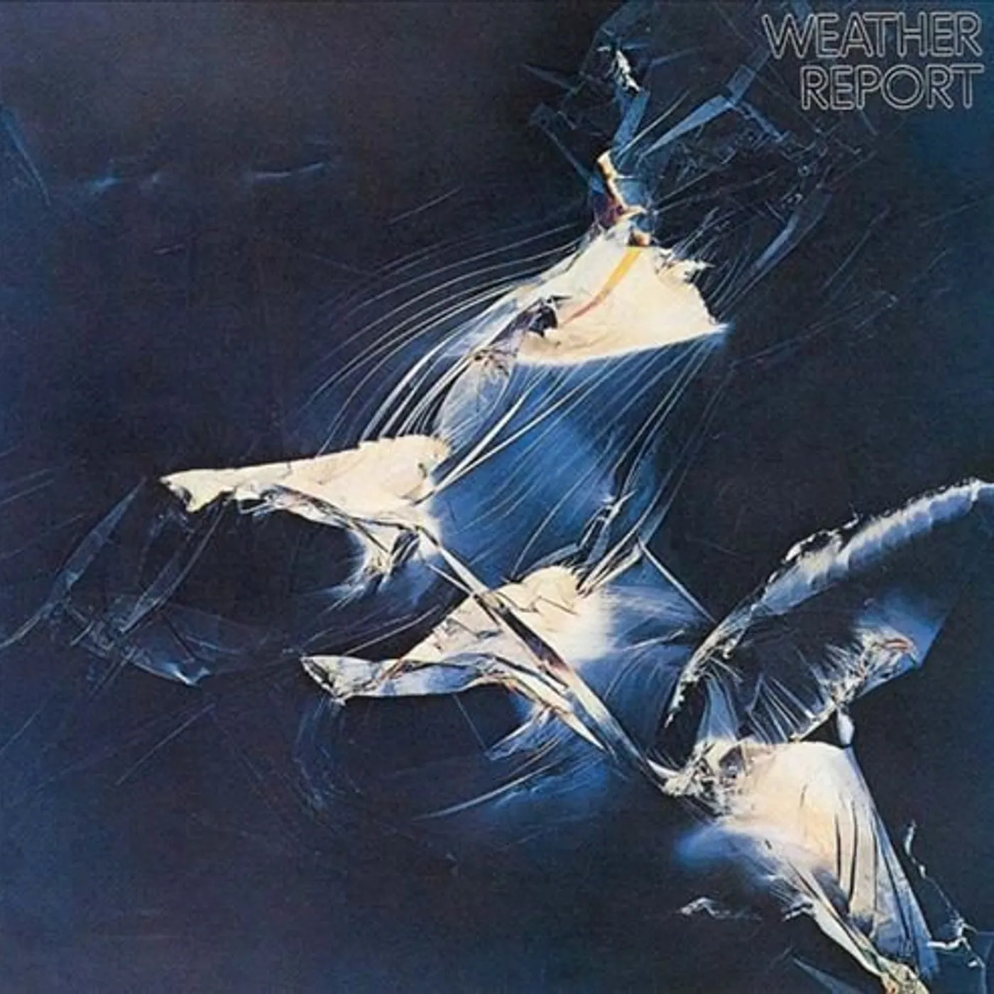 Weather Report Vinyl Record